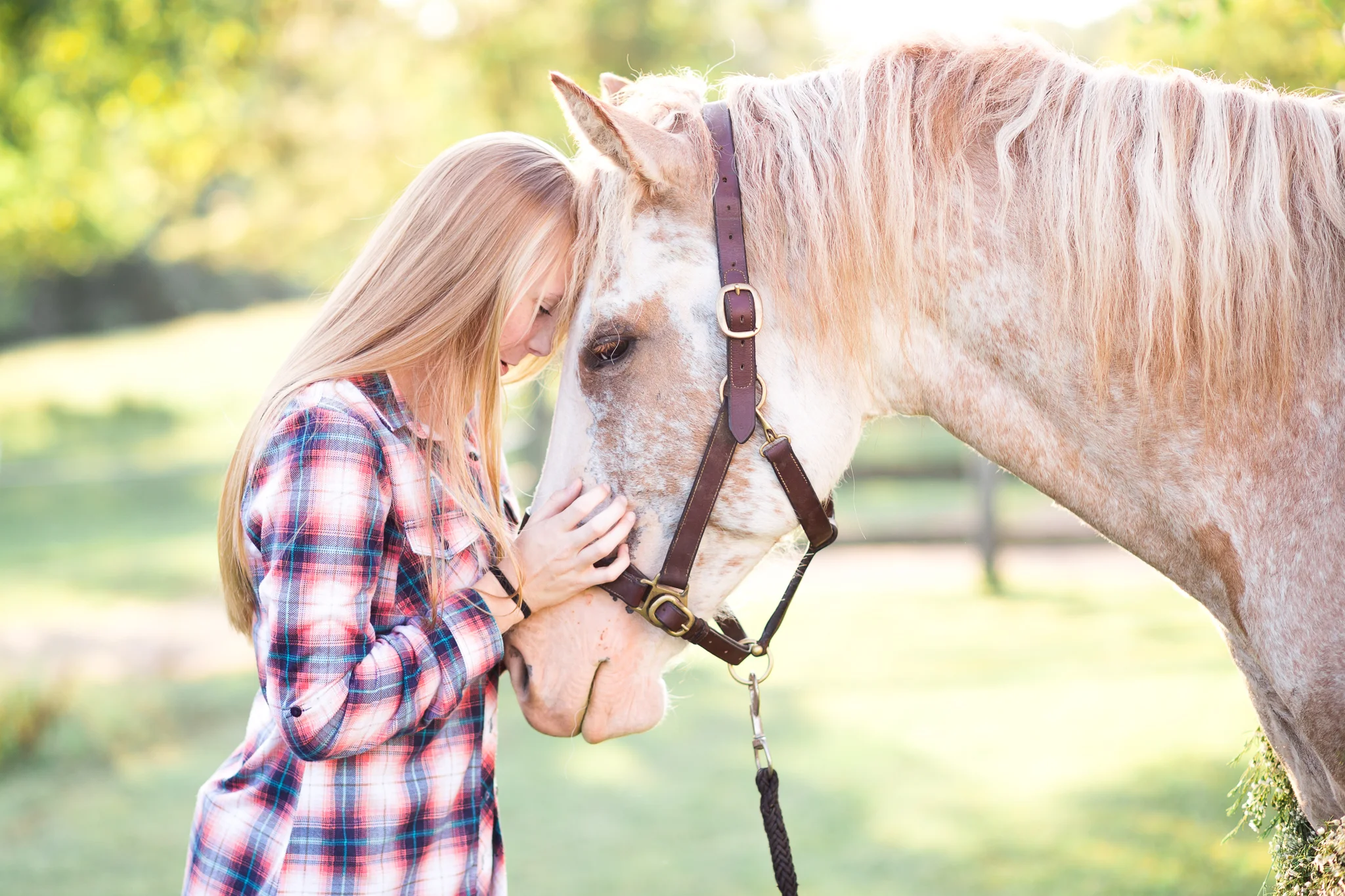 Virginia Equine Portrait Photography