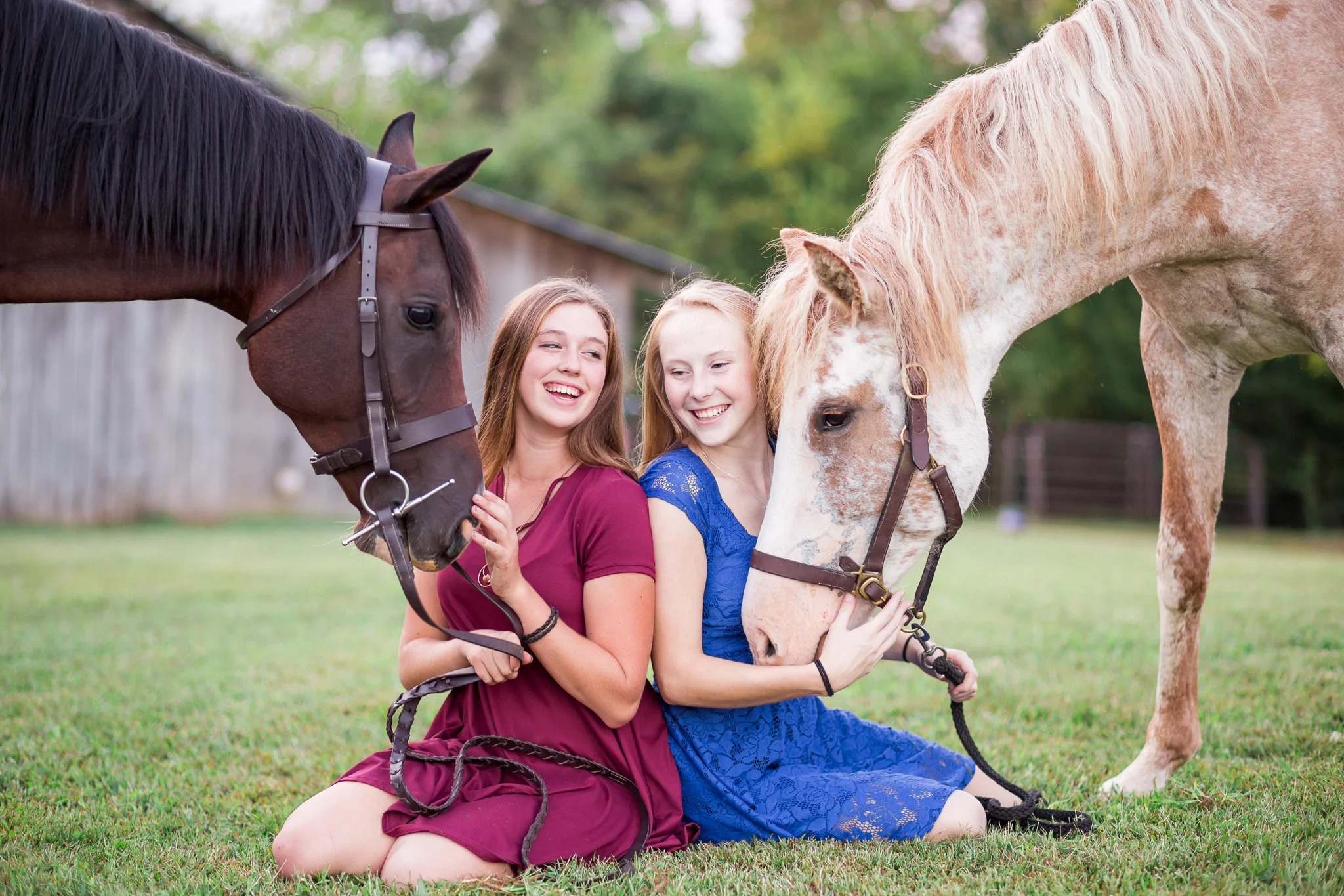 Virginia Equine Portrait Photography