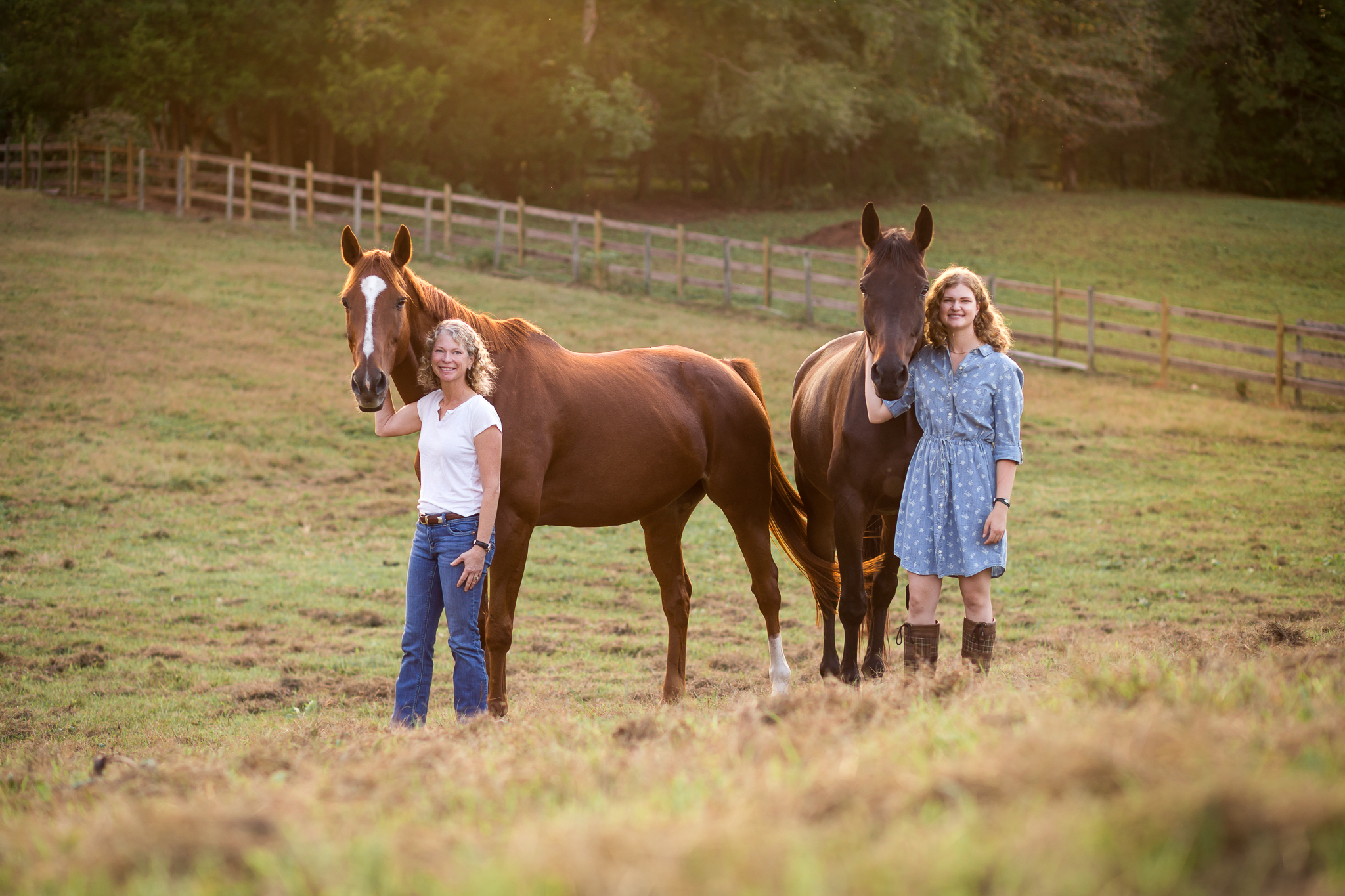 Virginia Equine Portrait Photography