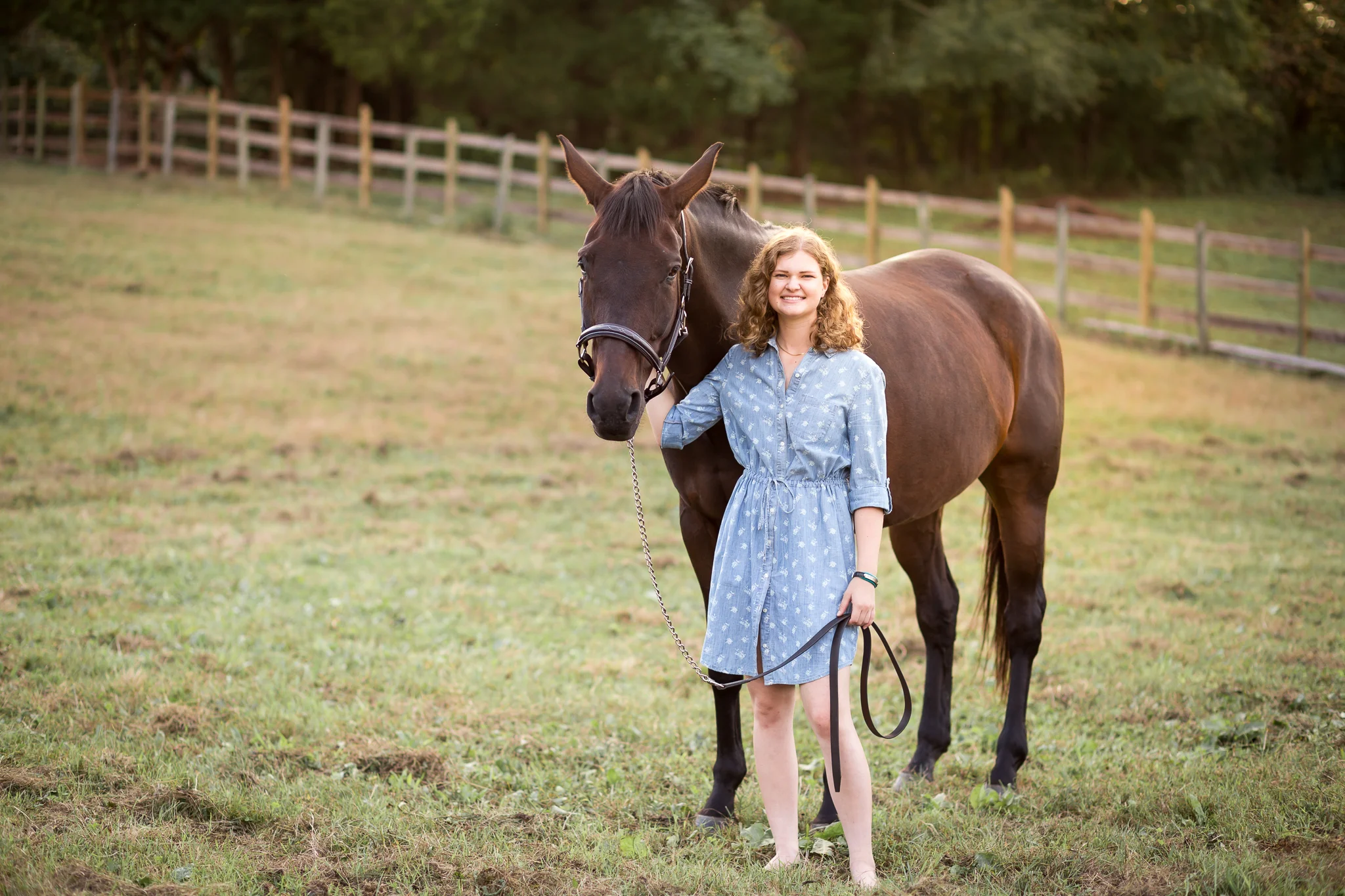 Virginia Equine Portrait Photography