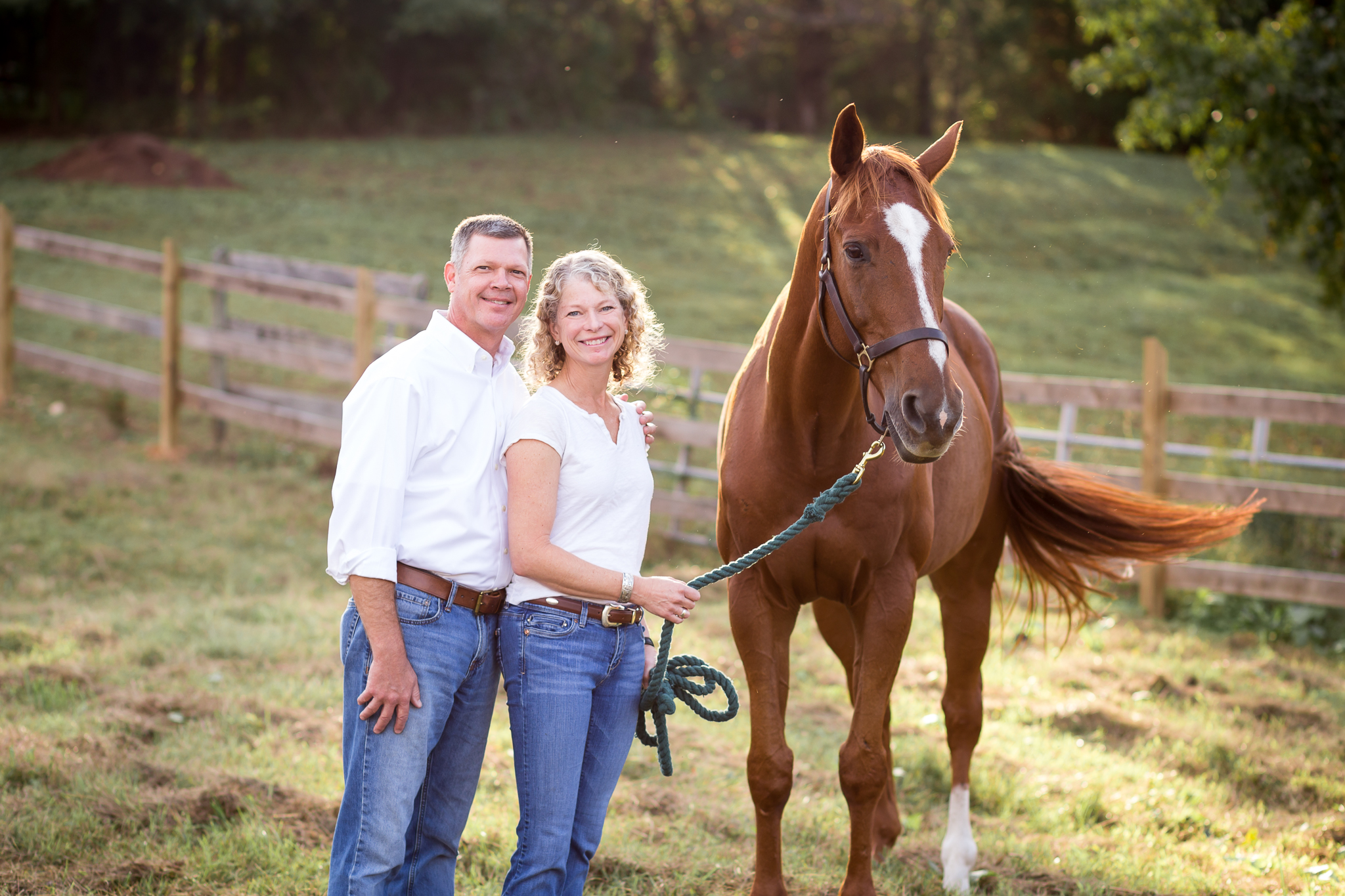 Virginia Equine Portrait Photographer