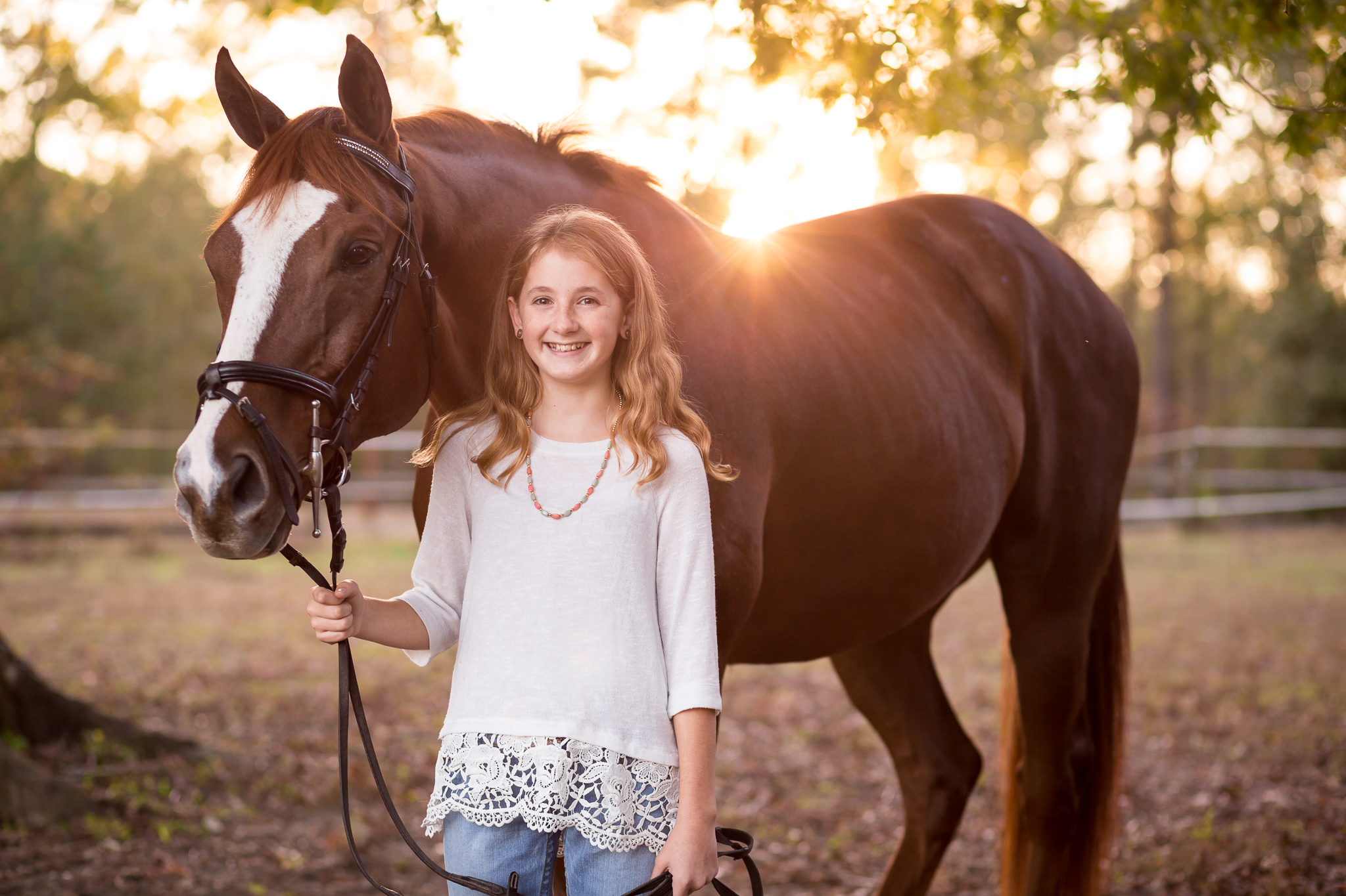 Virginia Equine Portrait Photography Session