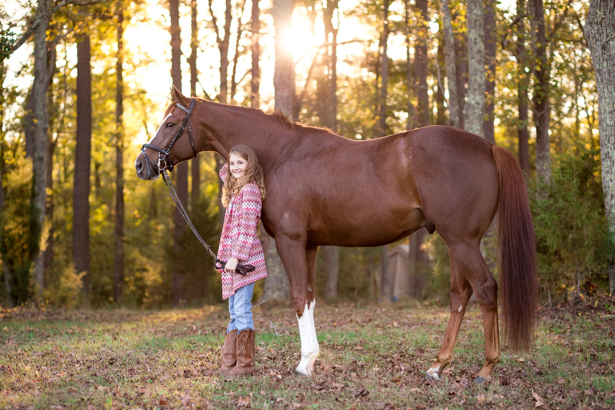 Virginia Equine Portrait Photography Session