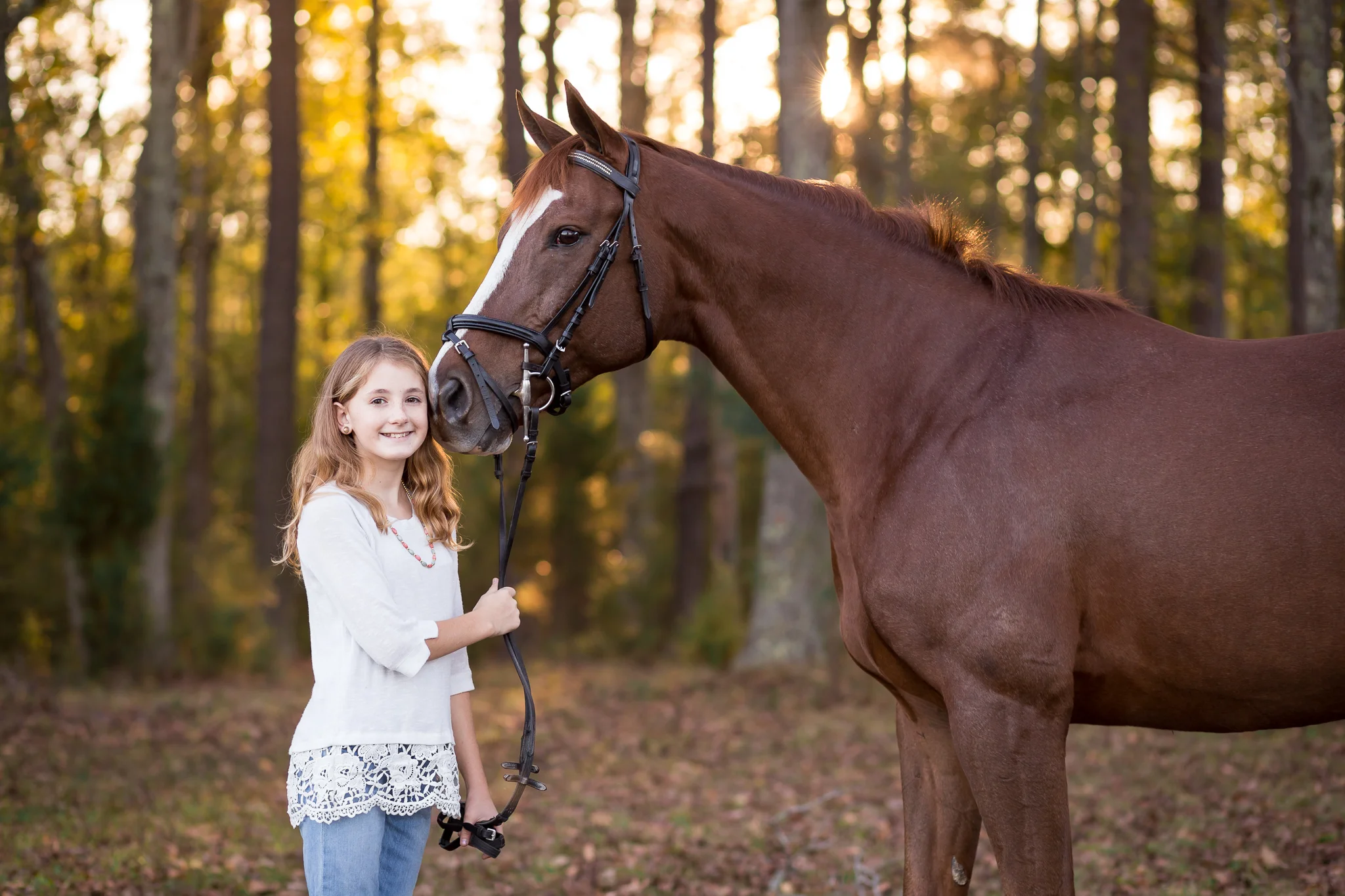 Virginia Equine Portrait Photography Session