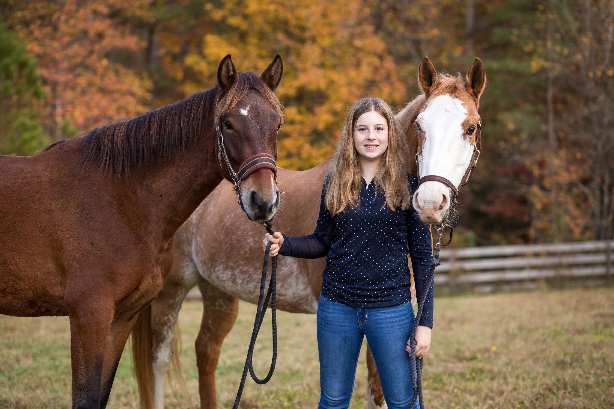 Virginia Equine Portrait Photography