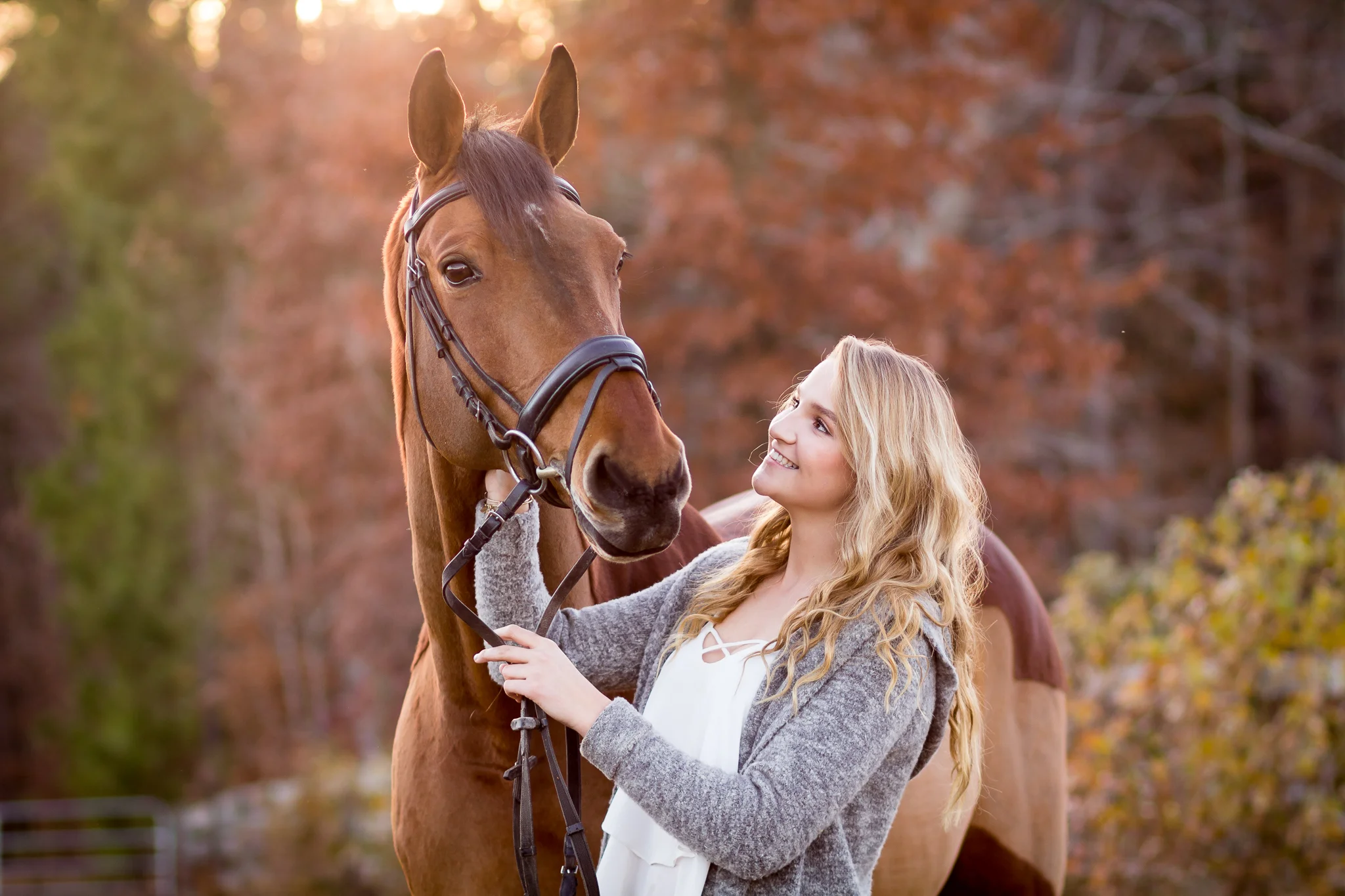 Virginia Equine Portrait Photography