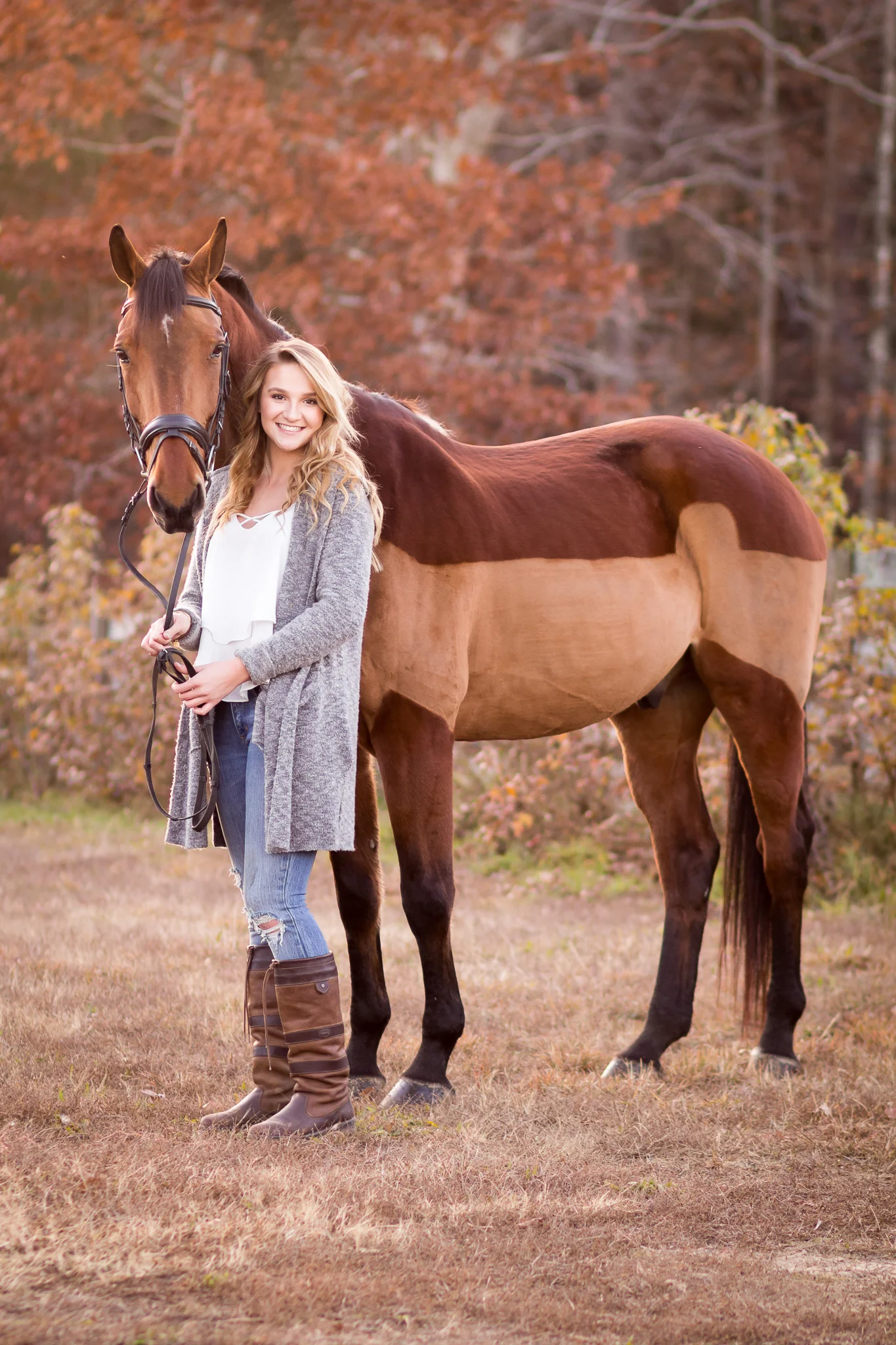 Virginia Equine Portrait Photography