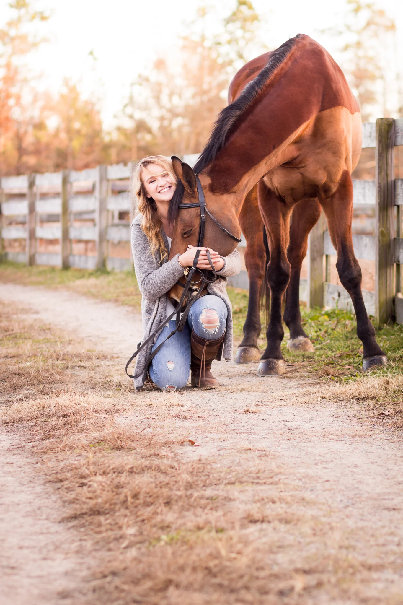 Virginia Equine Portrait Photography
