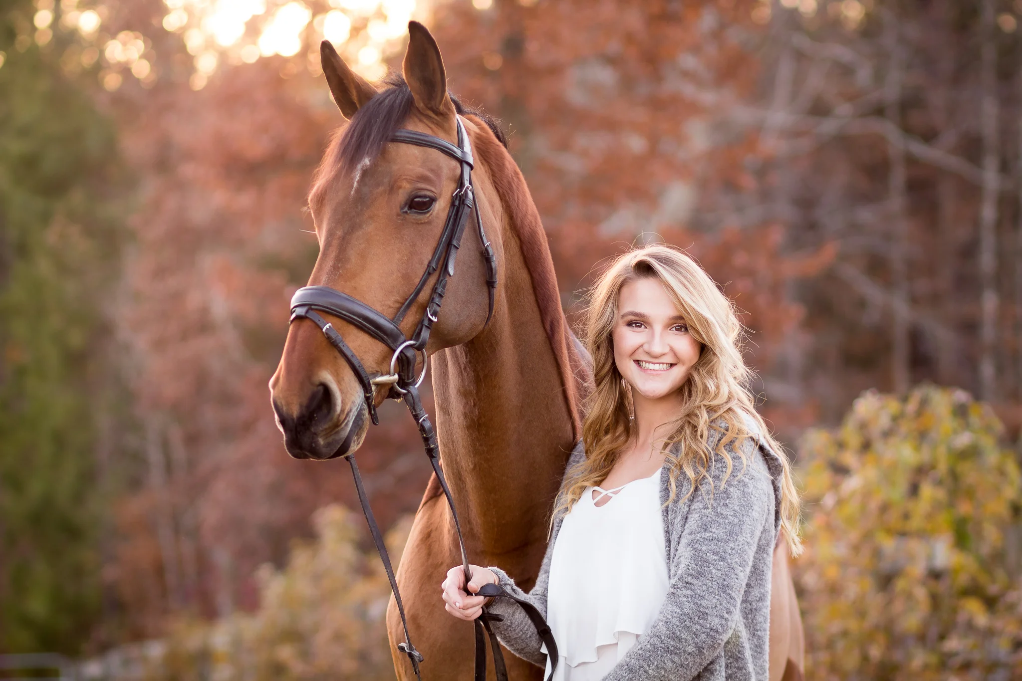 Virginia and Richmond Equine Portrait Photography
