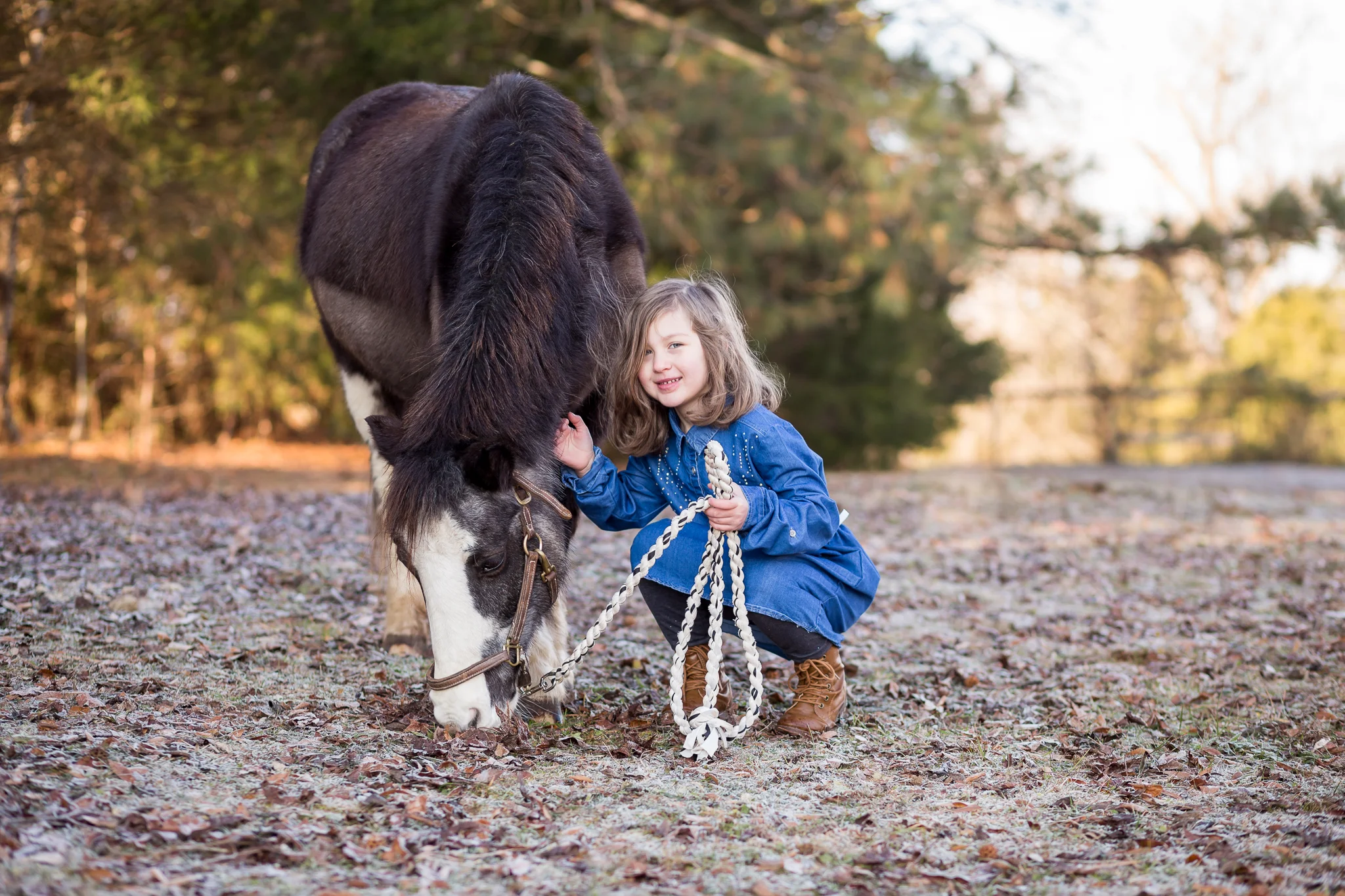 Richmond Virginia Equine Portrait Photographer