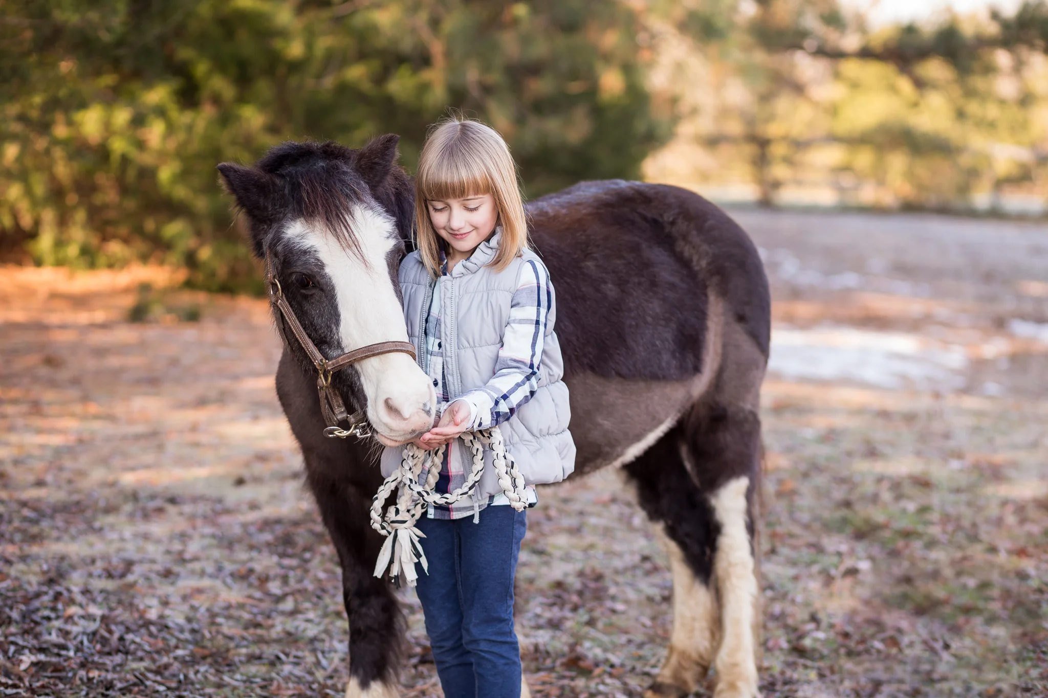 Virginia Horse and Rider Portrait Photographer