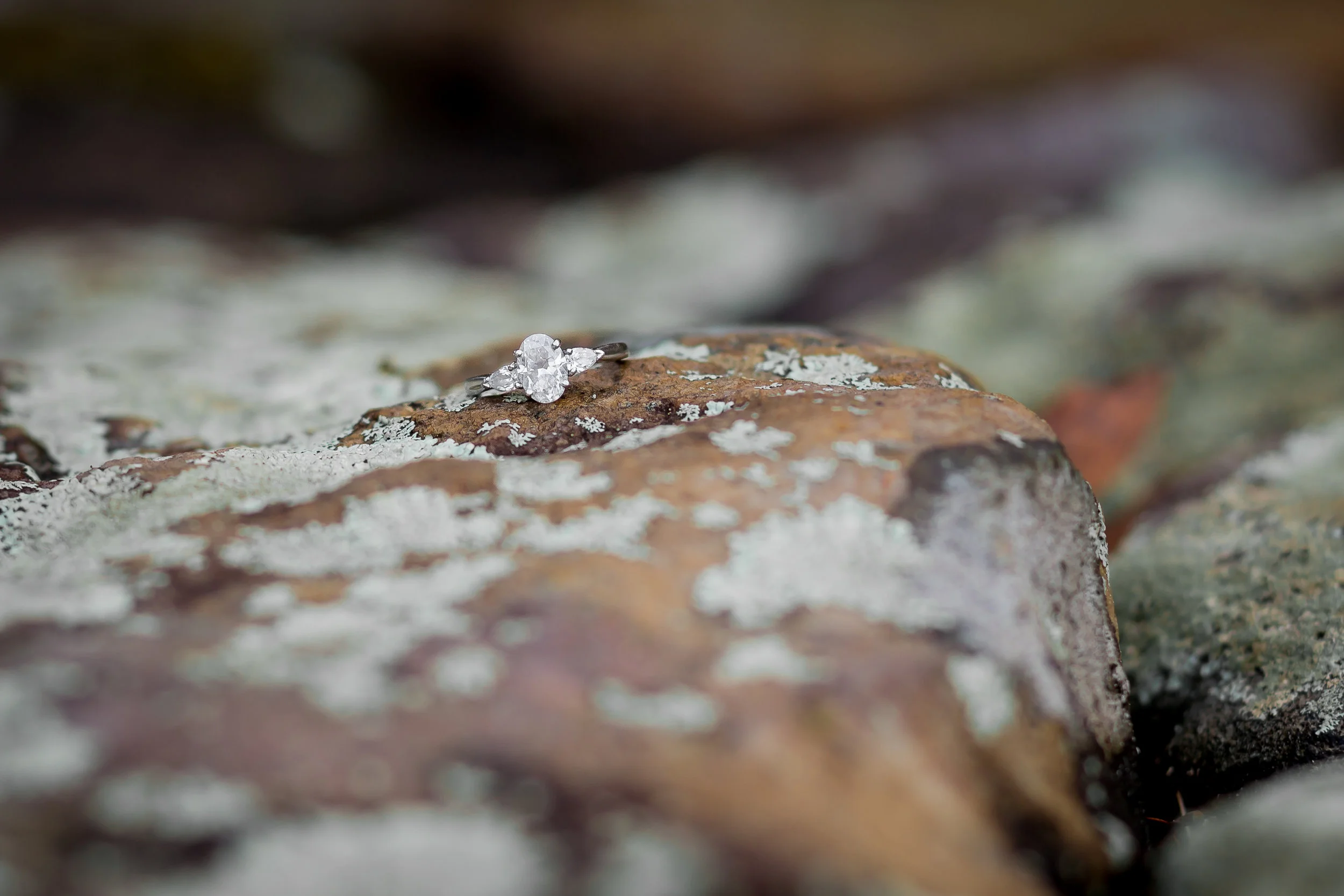 Virginia Engagement Photography