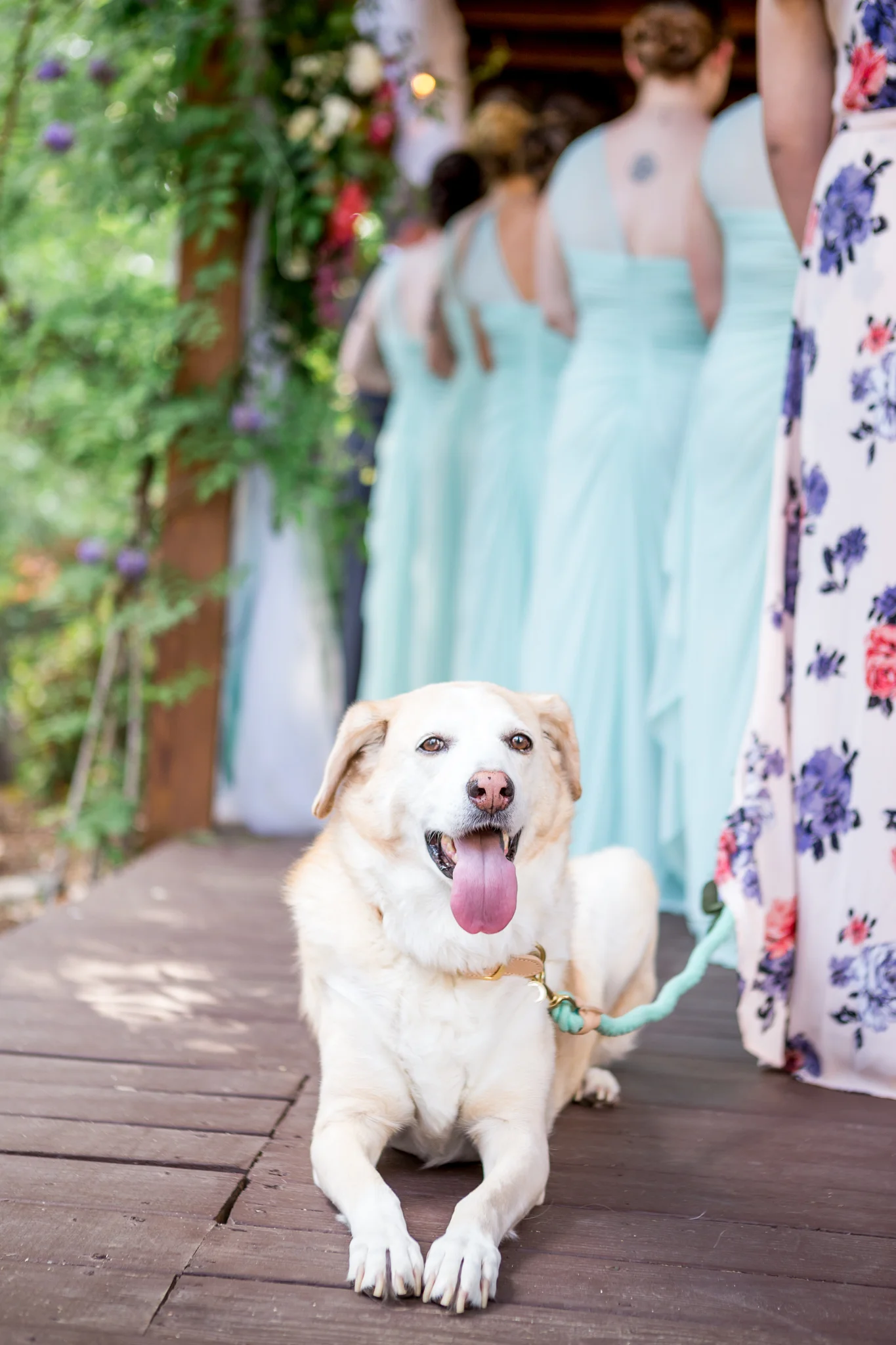 Midlothian Virginia Wedding Photography