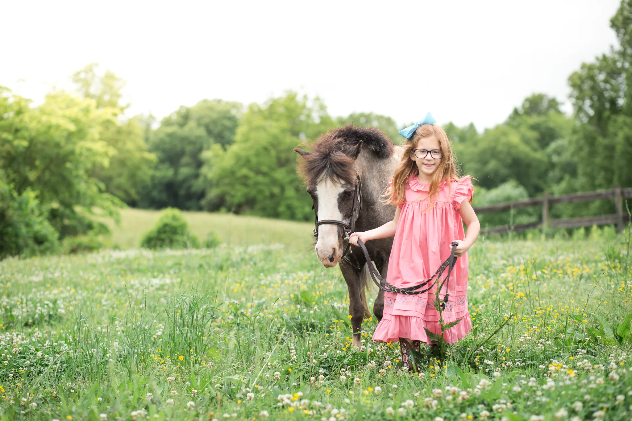 Virginia Horse and Rider Photography