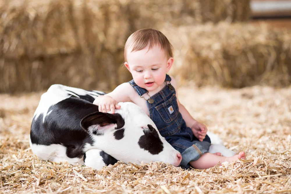 Farm Photo Amelia Virginia Portrait Photography Blog Laura Siegle Photography Llc