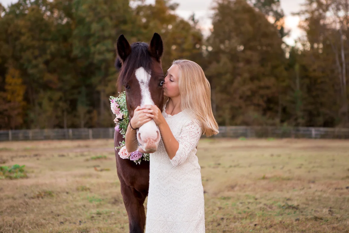 Richmond Virginia Equine Portrait Photographer