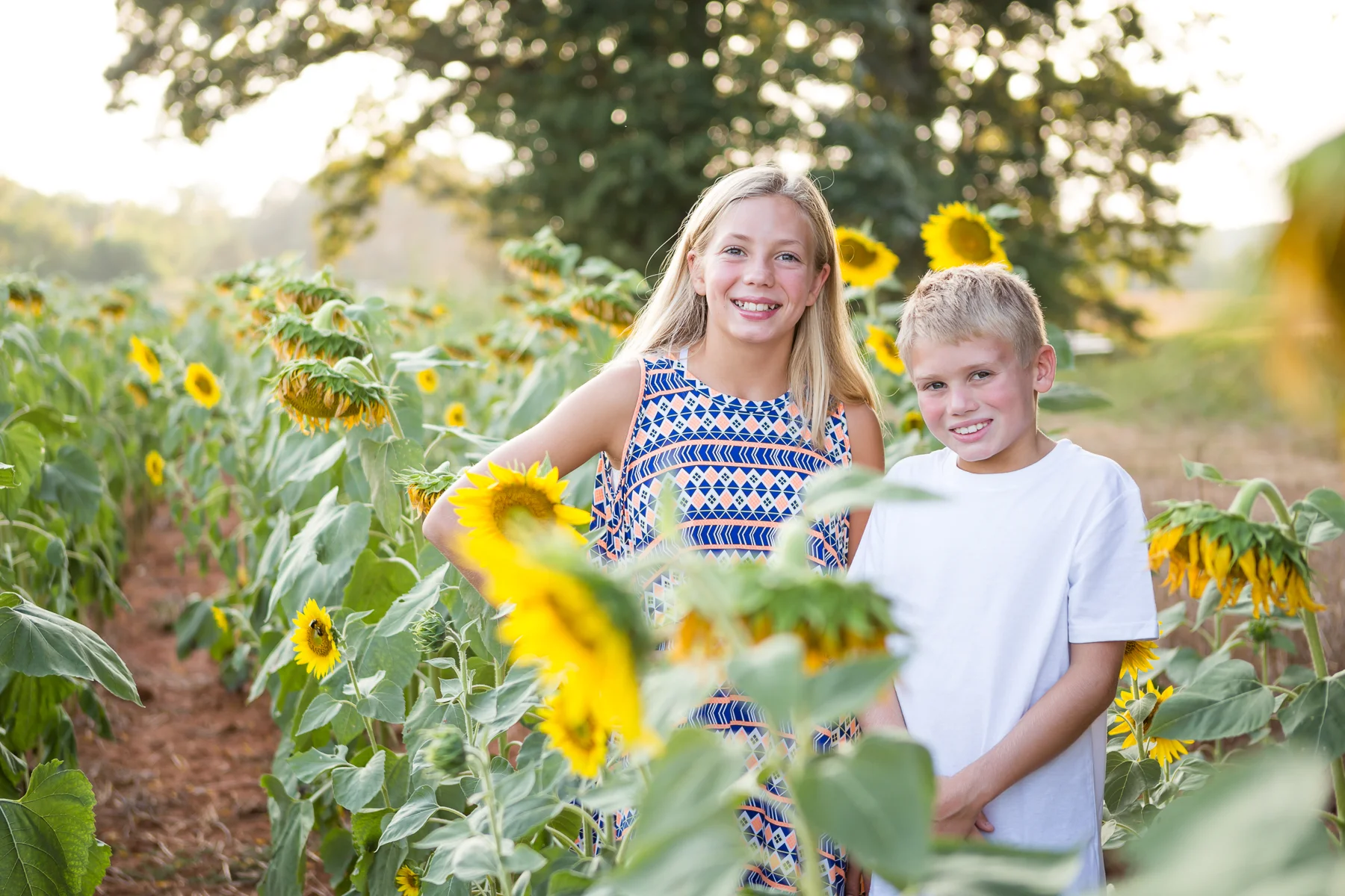 Richmond Virginia Sunflower Portrait Session