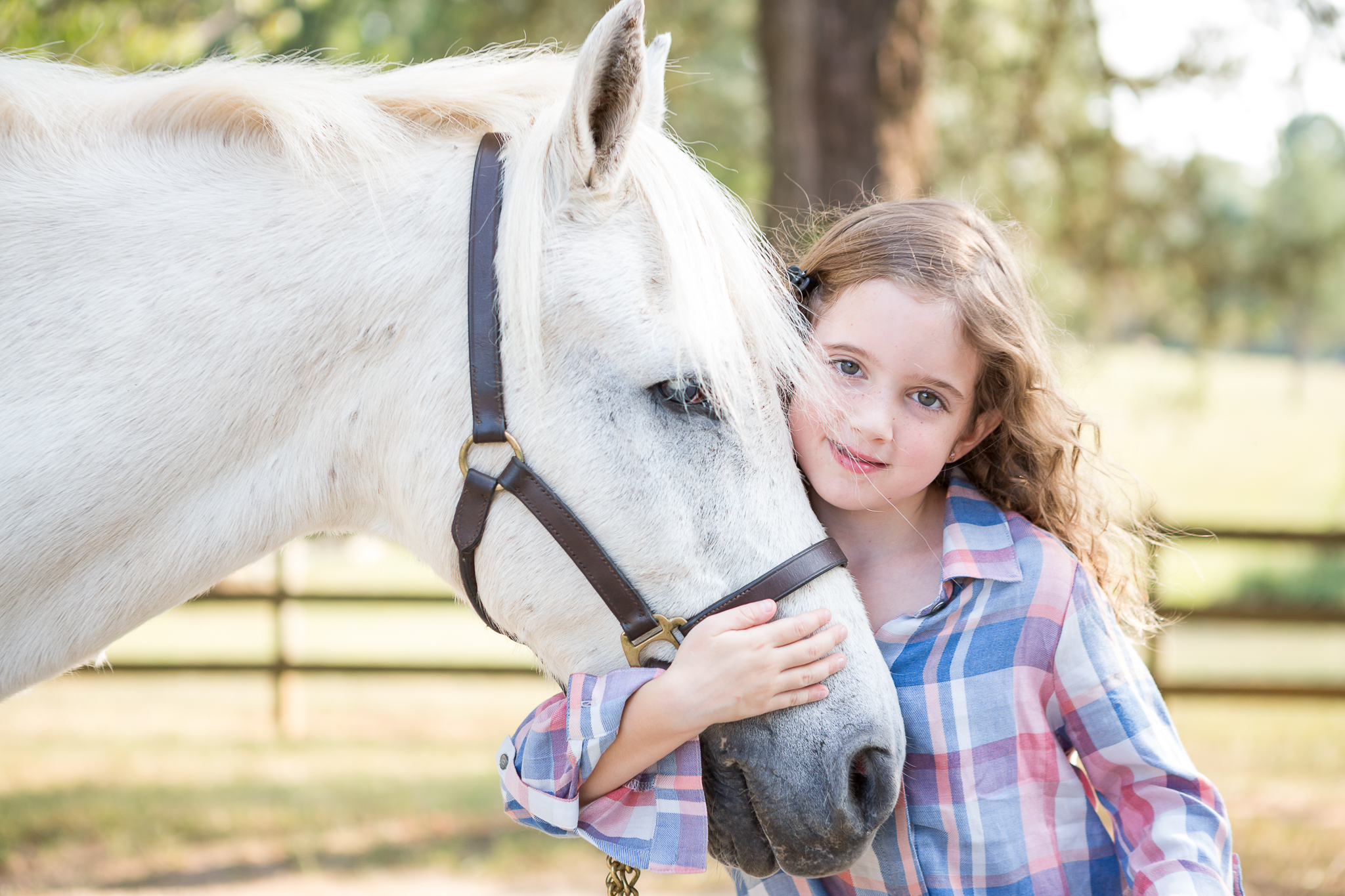 Virginia Equine Horse and Rider Portrait Photographer