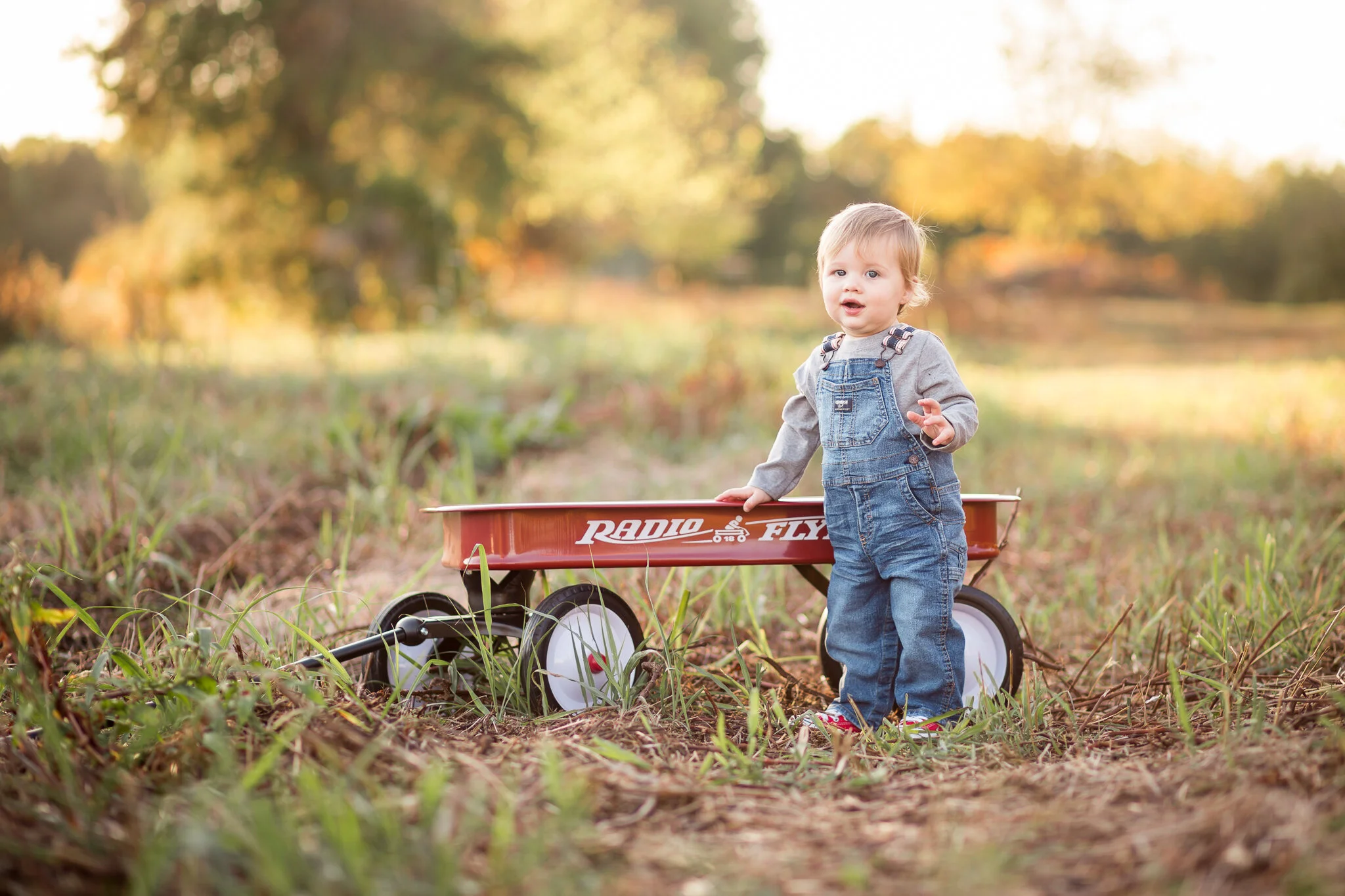 Richmond Virginia Child One Year Photographer