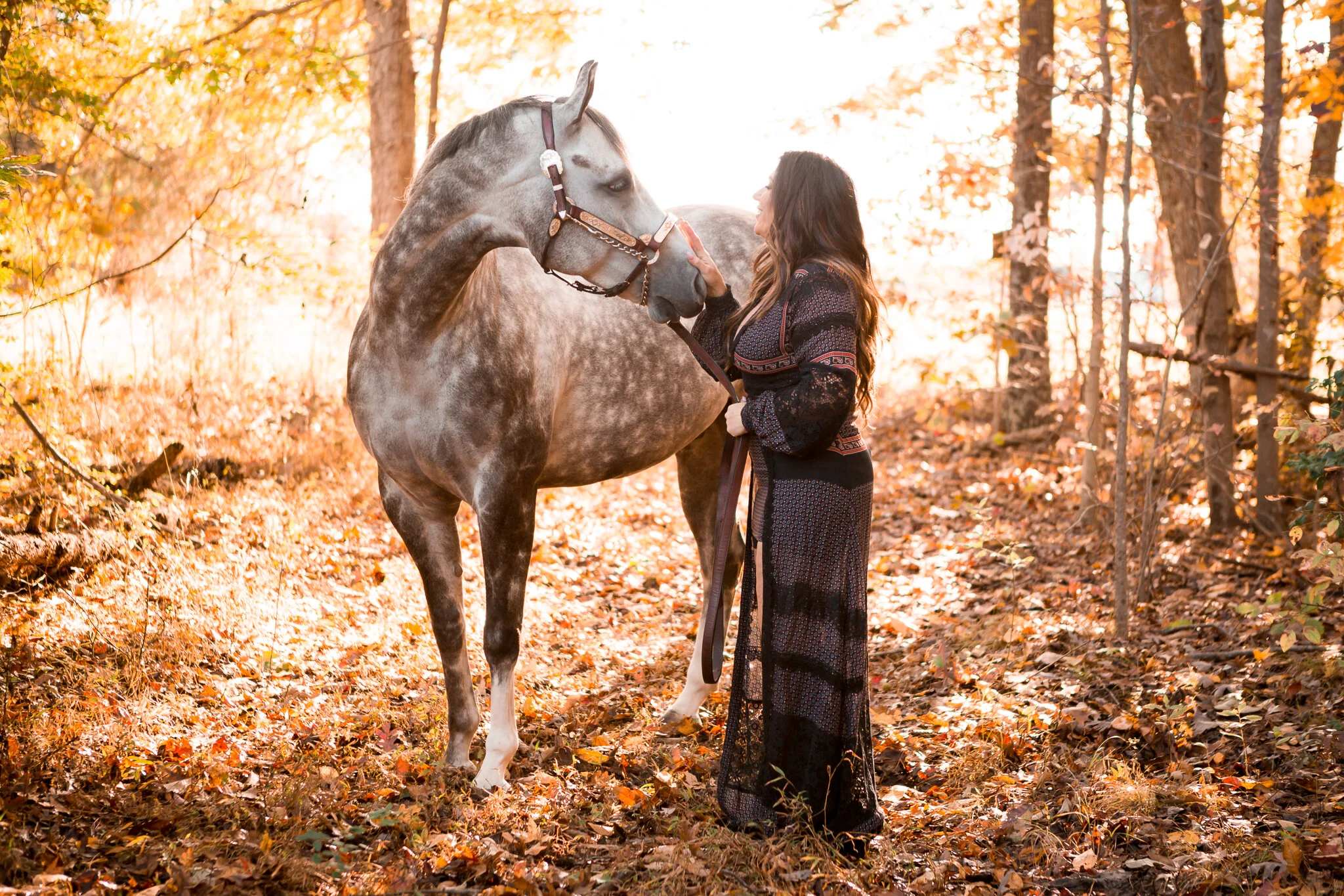 Virginia Equine Photographer