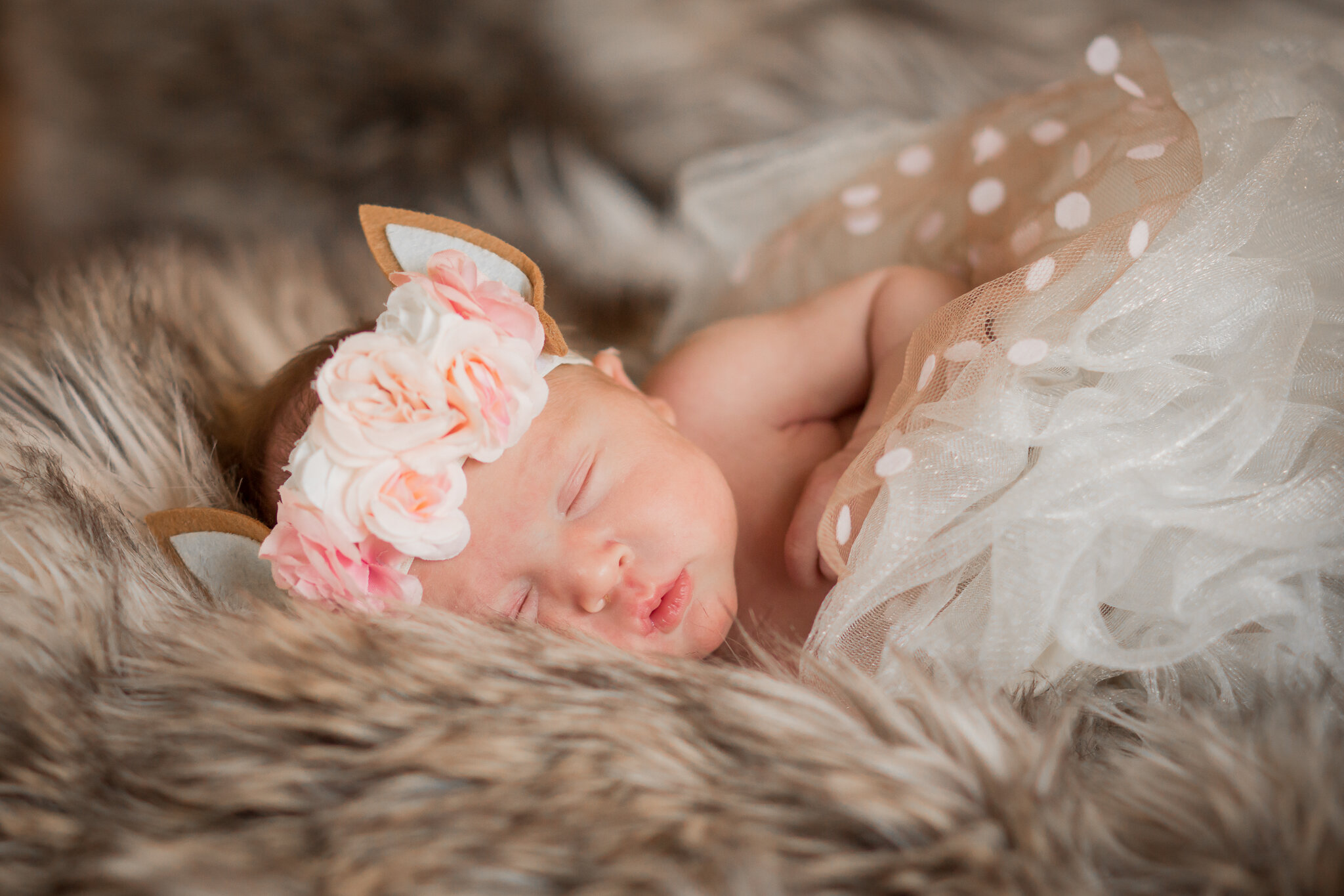 Virginia Infant and Newborn Photographer