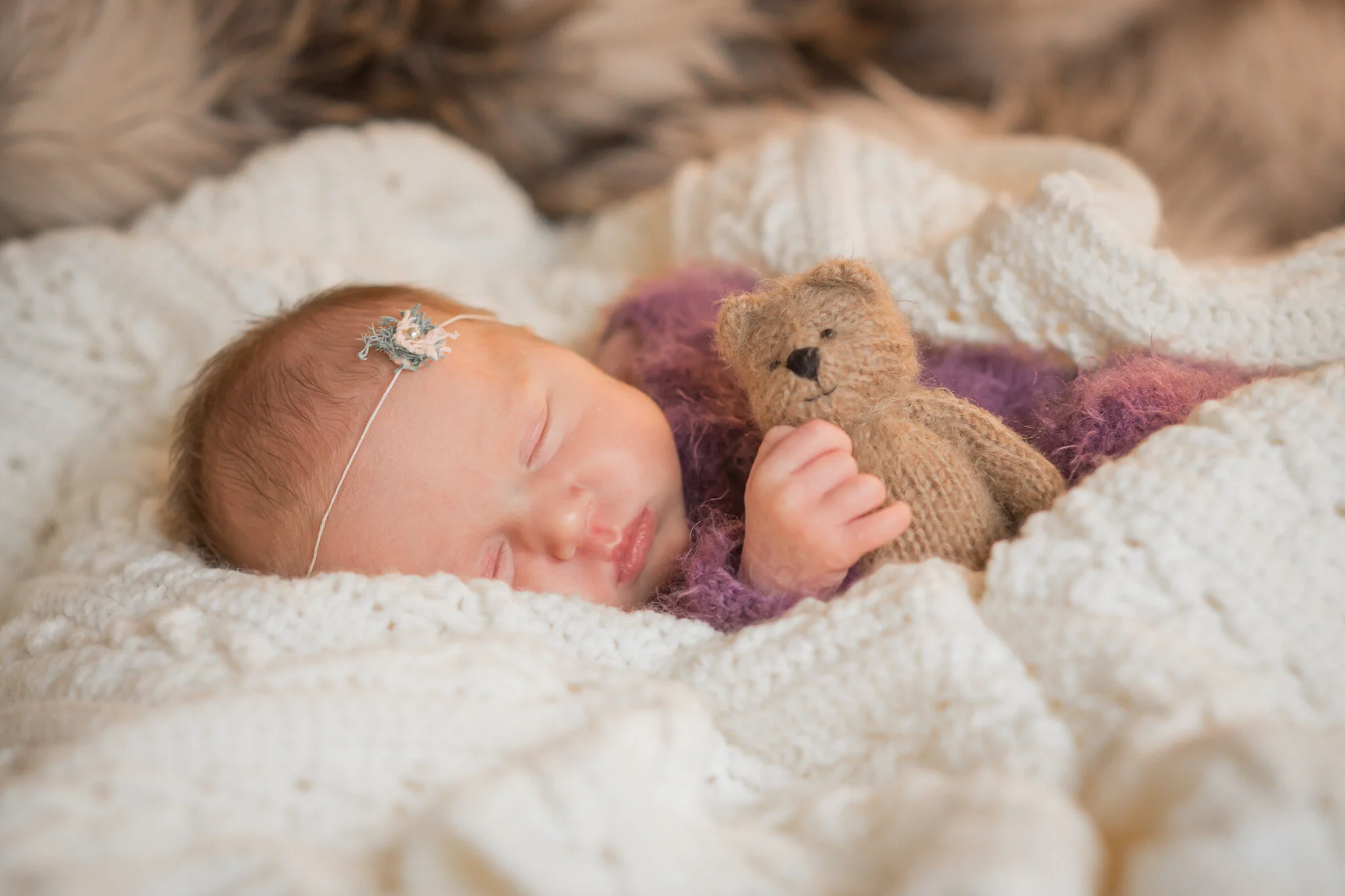 Virginia Infant and Newborn Photographer