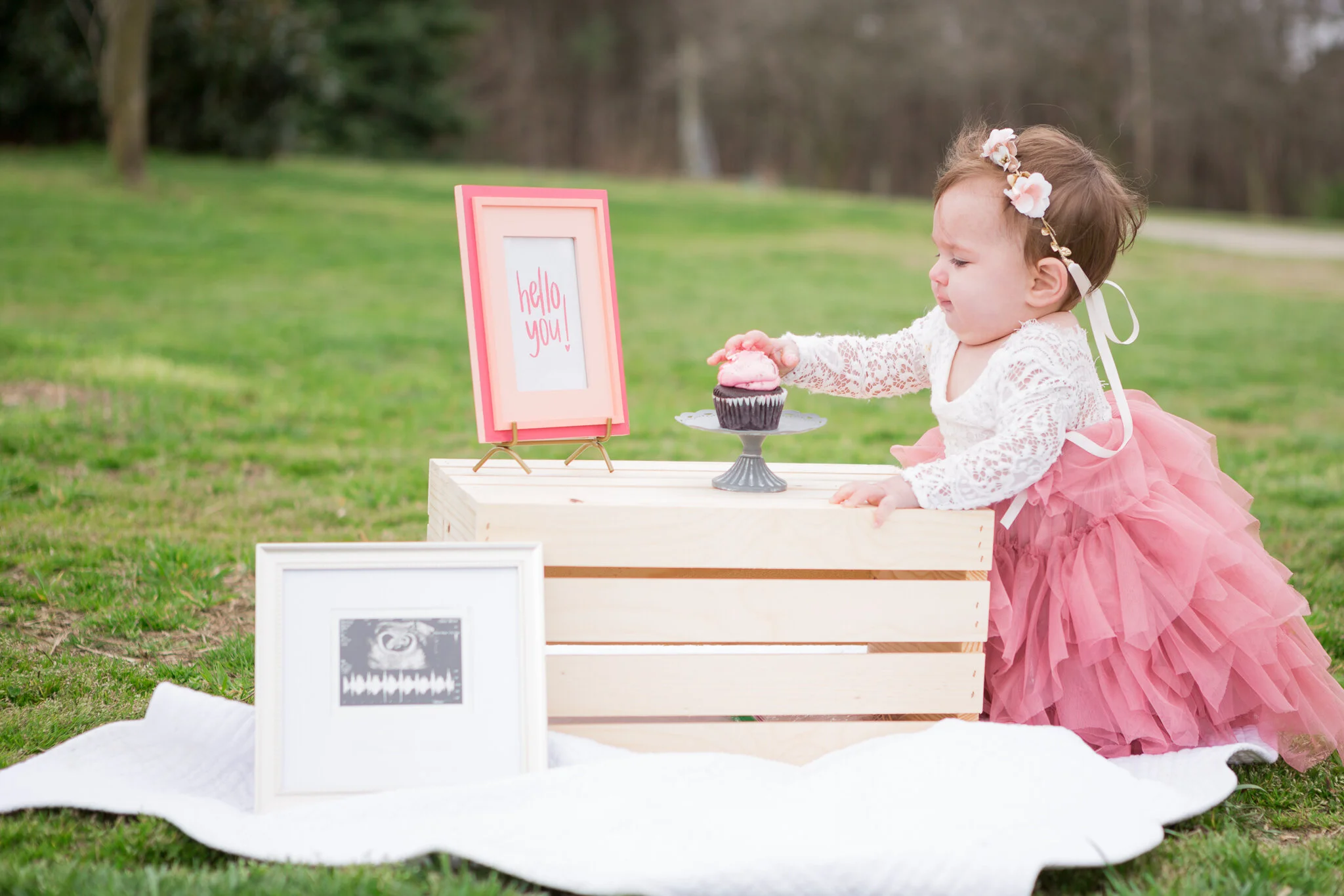 Richmond Virginia Family Cake Smash Photographer