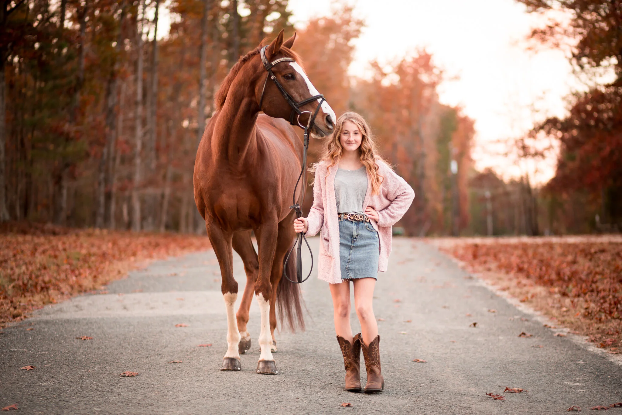 Virginia Equine Portrait Photographer