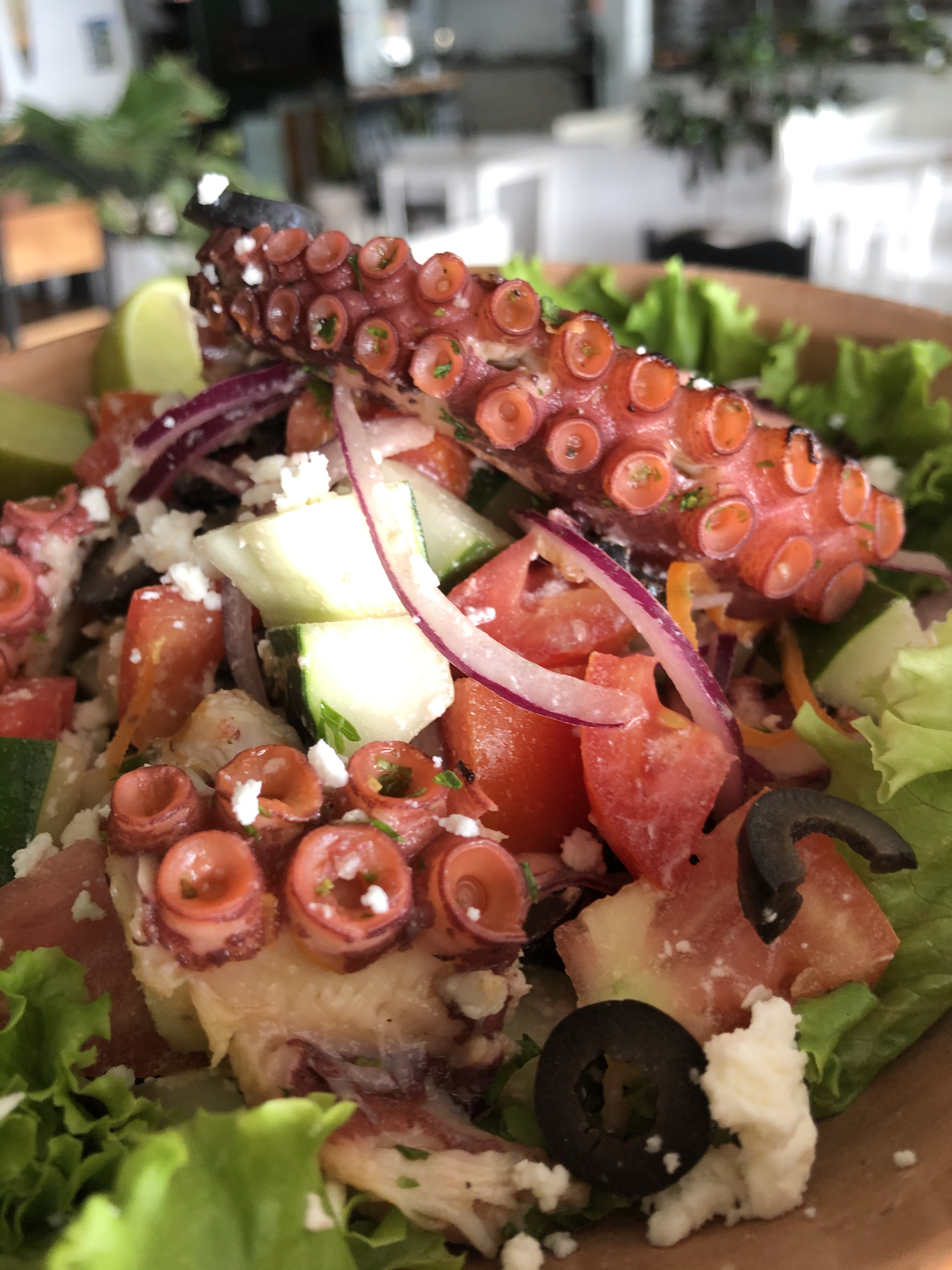 Grilled Octopus Salad (Copy)