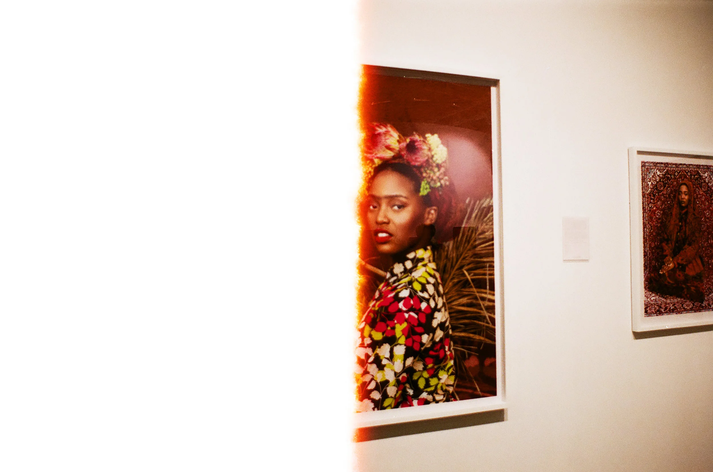 Tony Gum.jpg