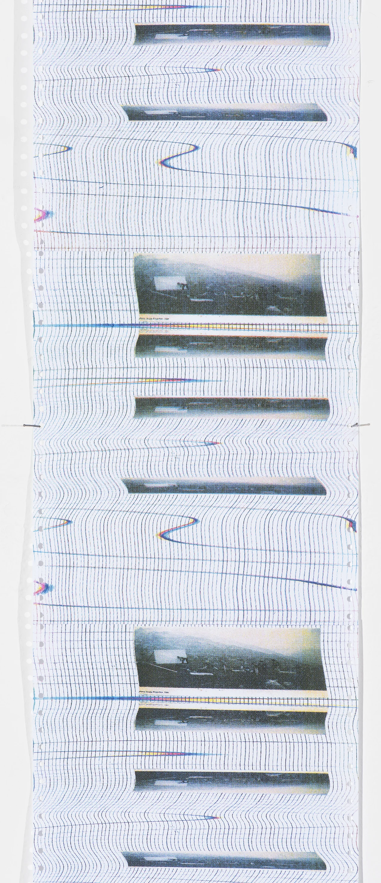 Untitled (found image)