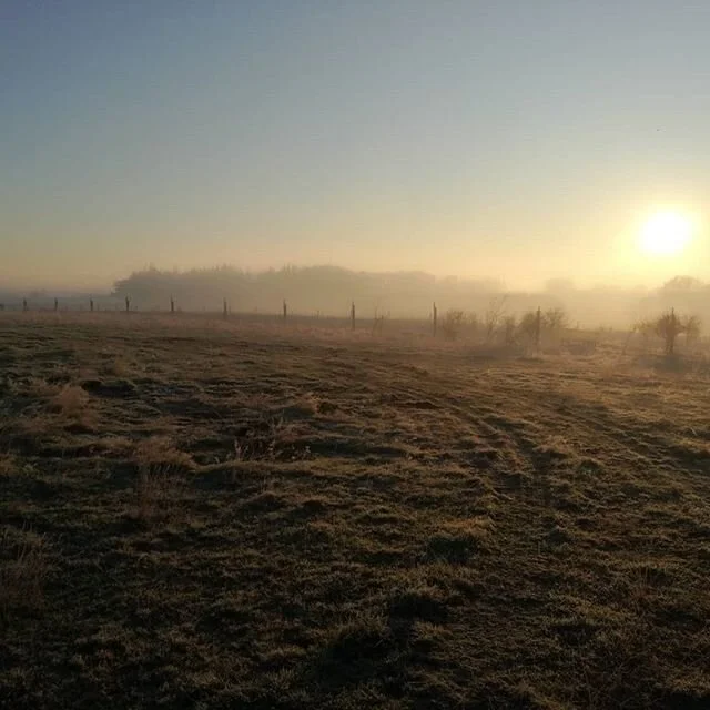 A frosty start to fieldwork today!
Post-lockdown, we back in the swing of things, about assisting our clients with their projects, with appropriate Covid19 management measures in place. Chilly starts like today don't put us off ❄️ 🙂 #enviraconsultin