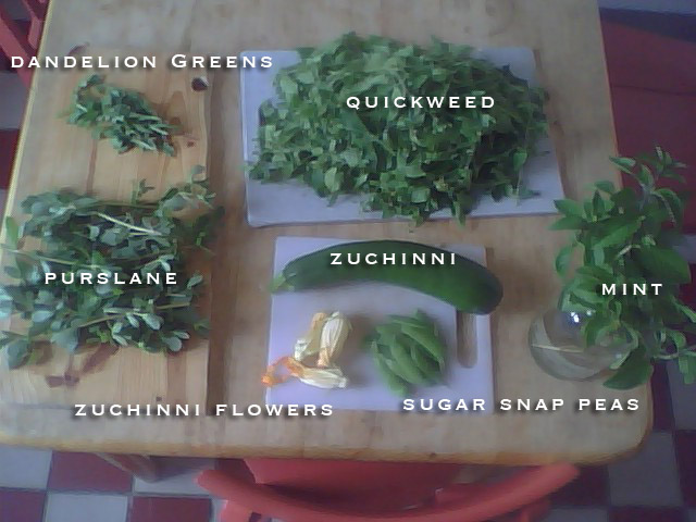 GARDEN TO TABLE 1