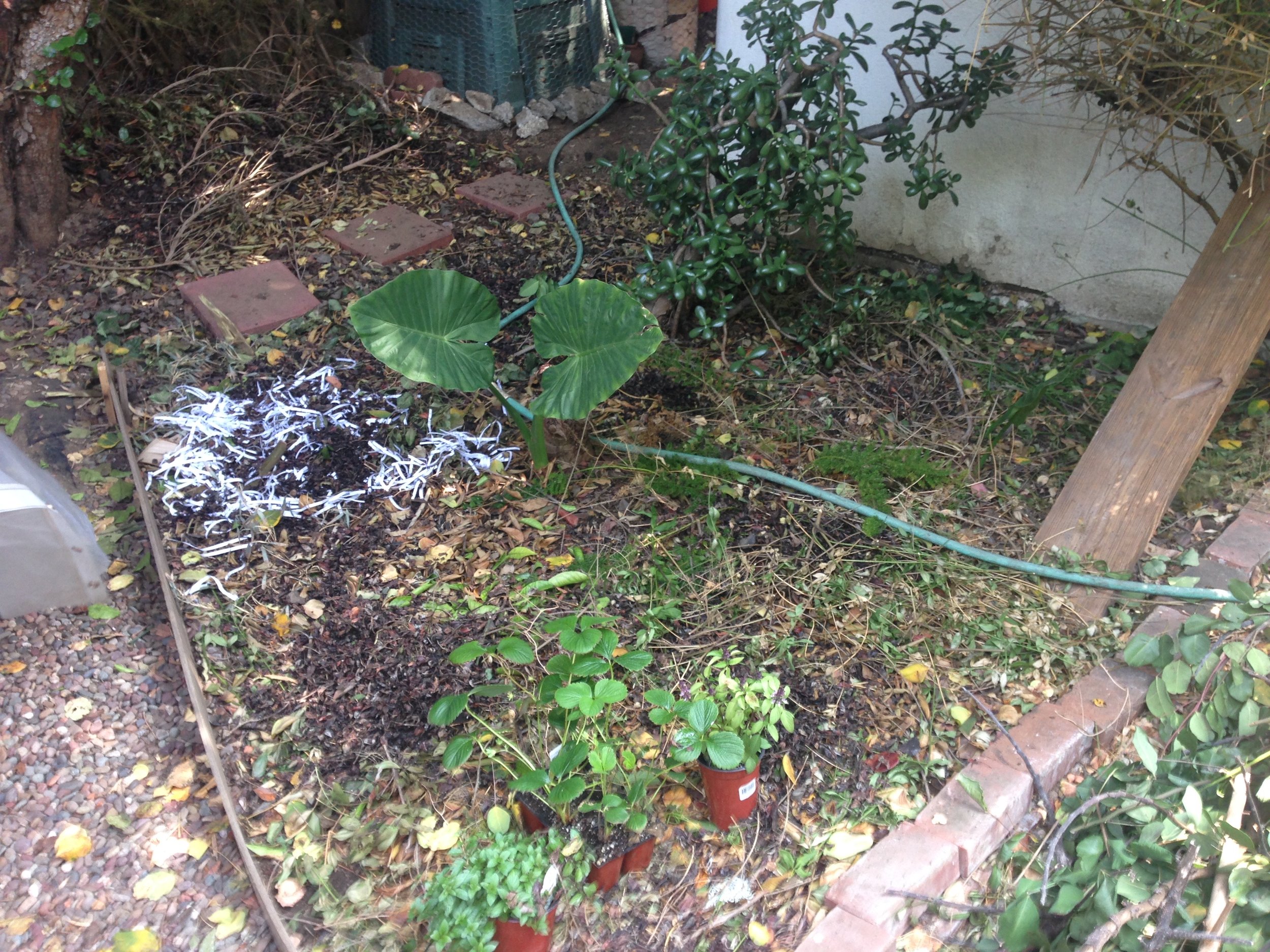 MULCHED PLANTING AREA