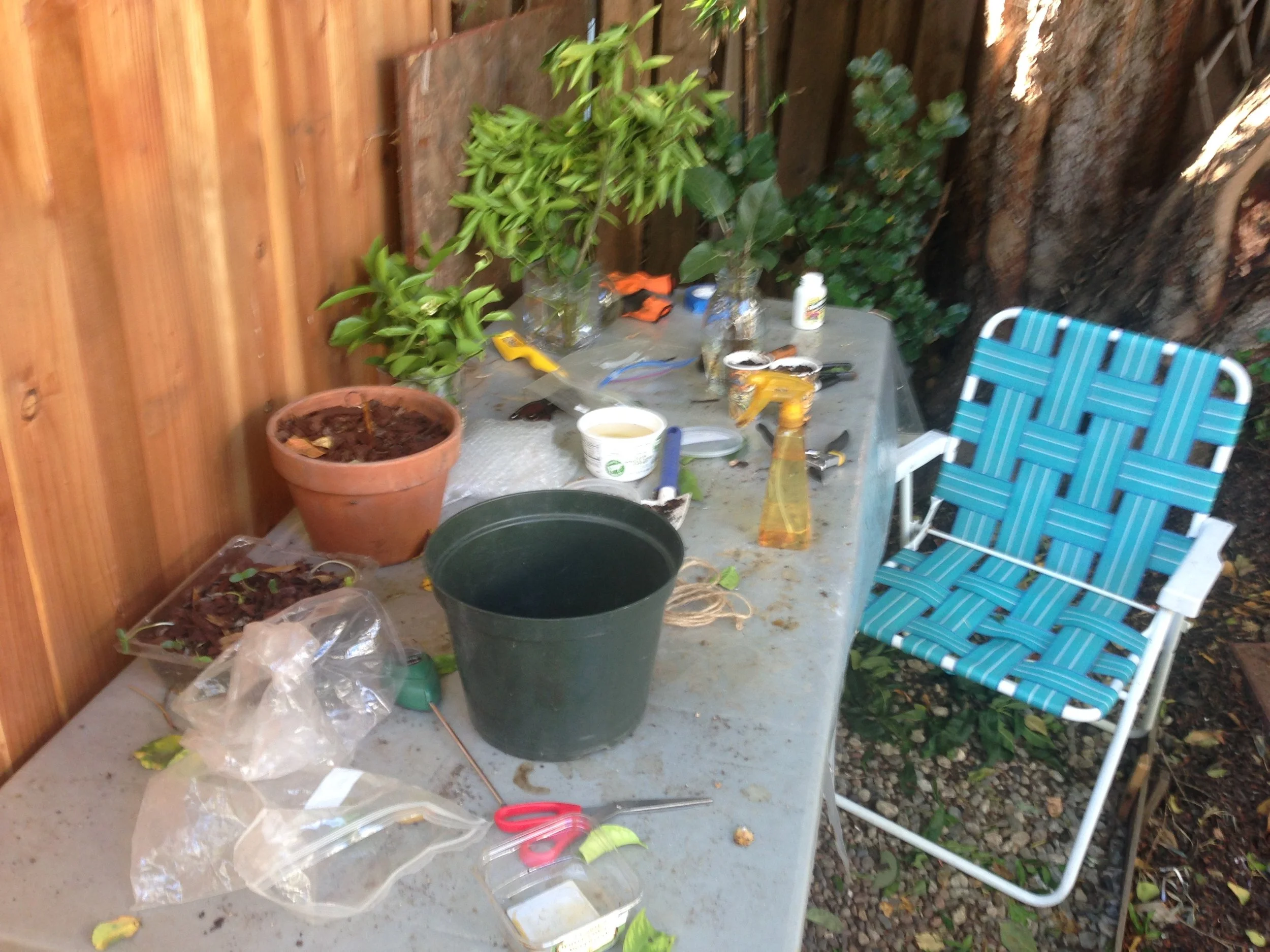 MY GARDEN OFFICE