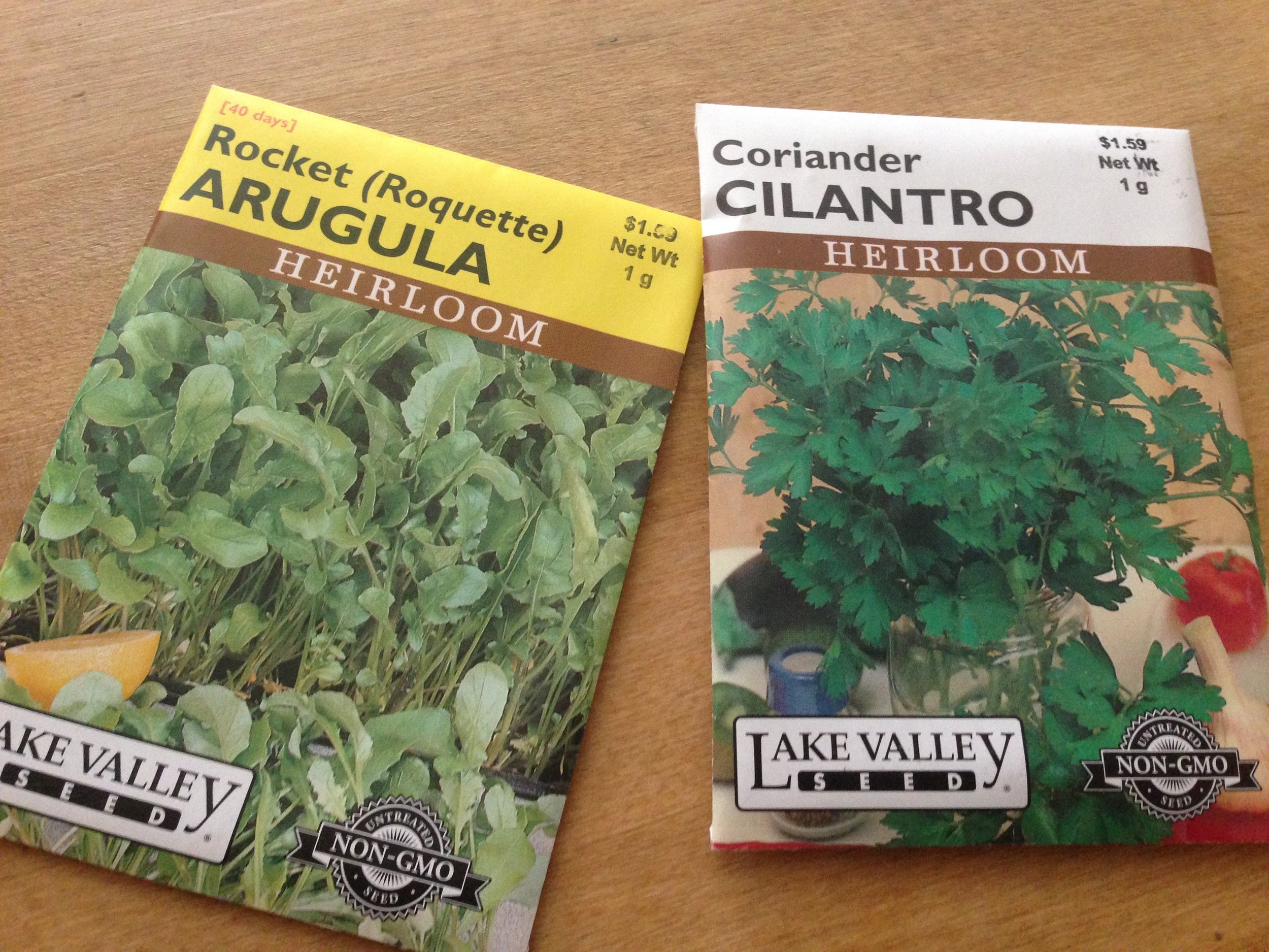 ARUGULA & CILANTRO