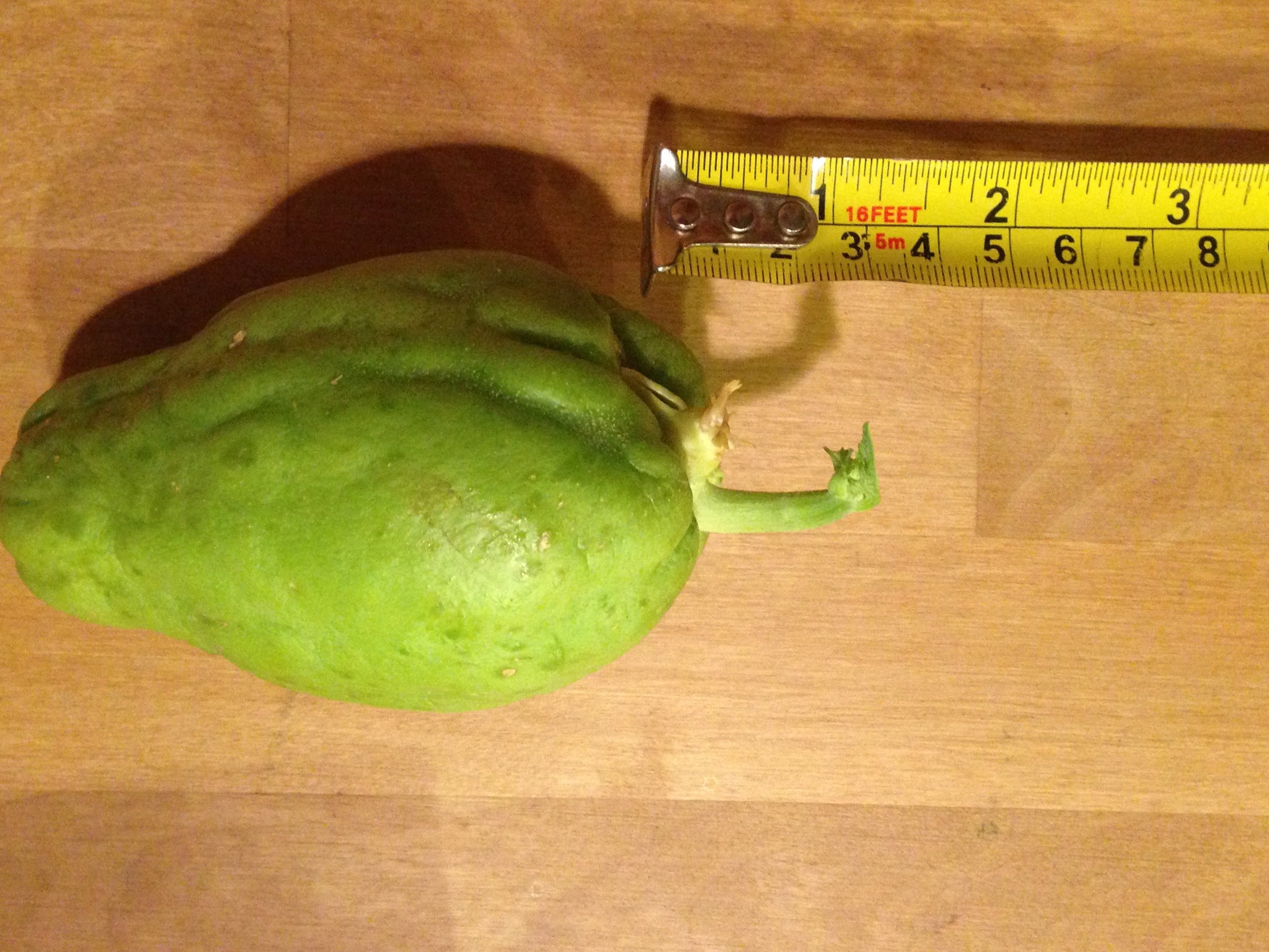 CHAYOTE SQUASH