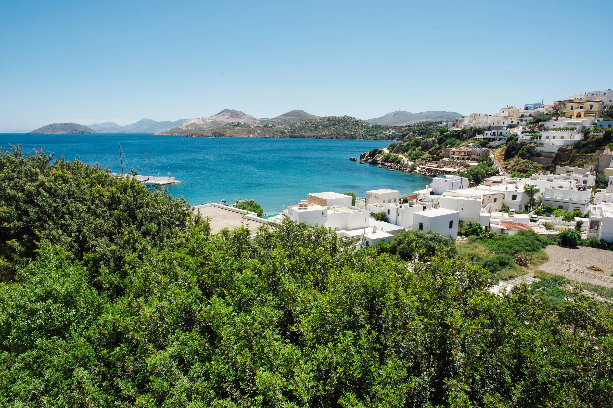 Asterias_2_029.jpg