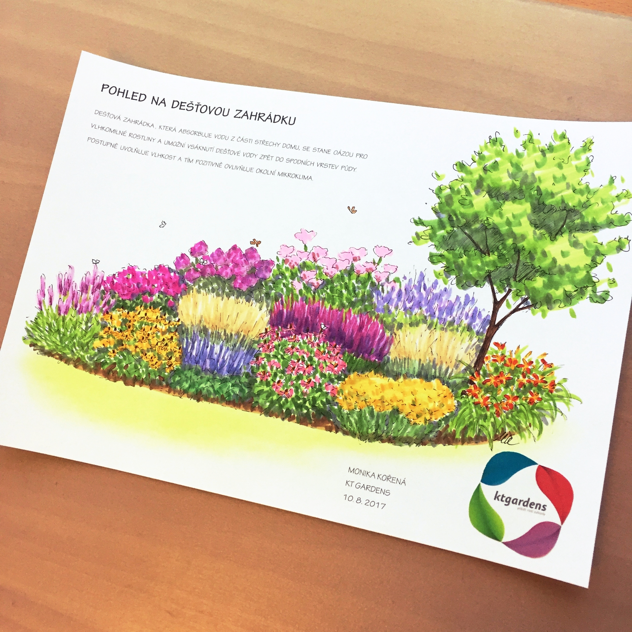 venkovská zahrada, ktgardens, návrh zahrady, Horní Suchá