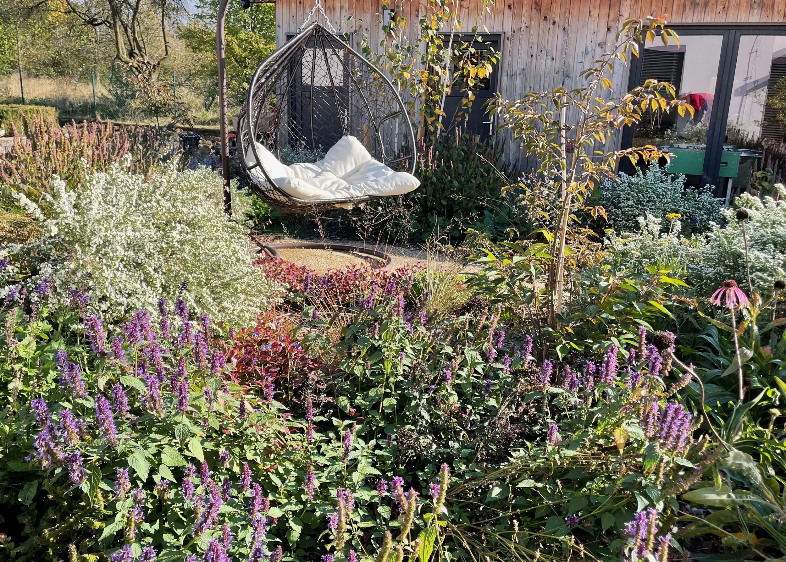 Kvetoucí záhon u terasy nejen pro hmyzáky 