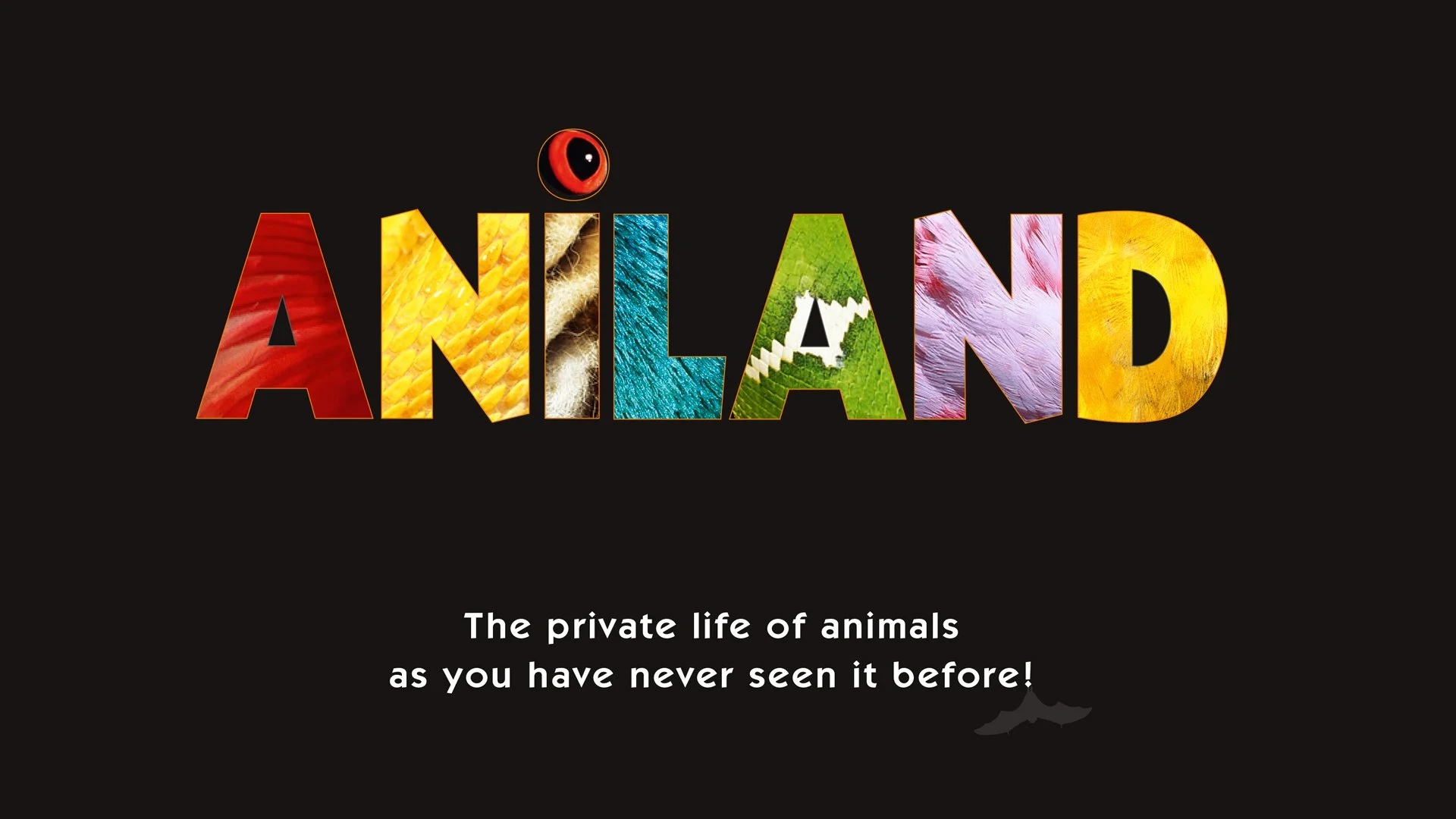 ANILAND