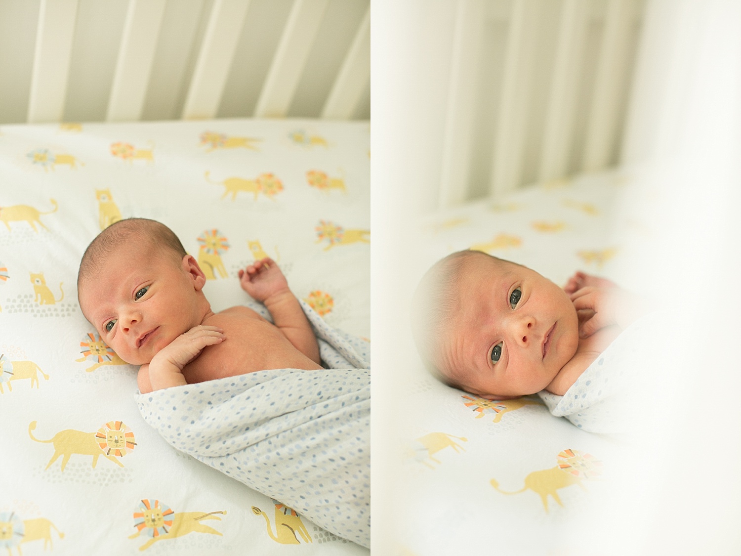 richmond va newborn photographer_0049.jpg