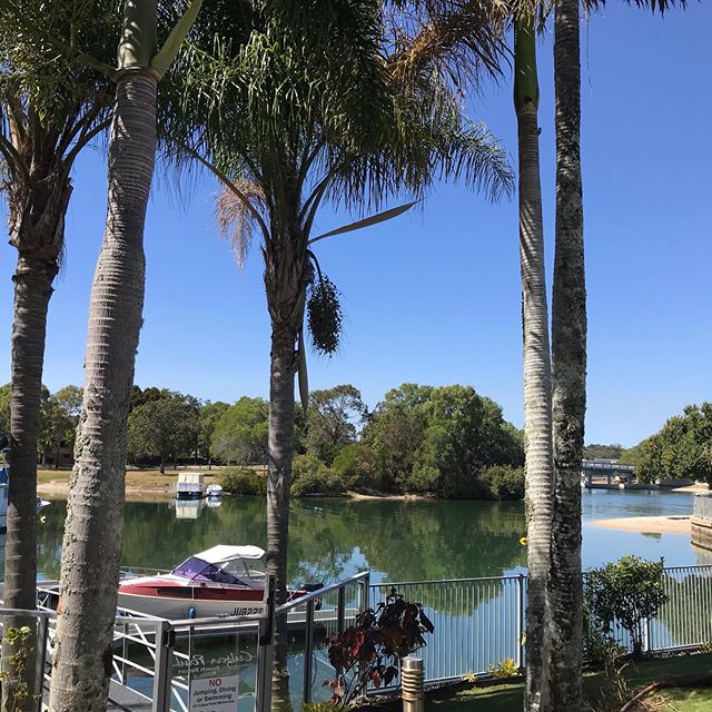 On the job view while doing a back flow replacement. Perfect day in Noosa 👌