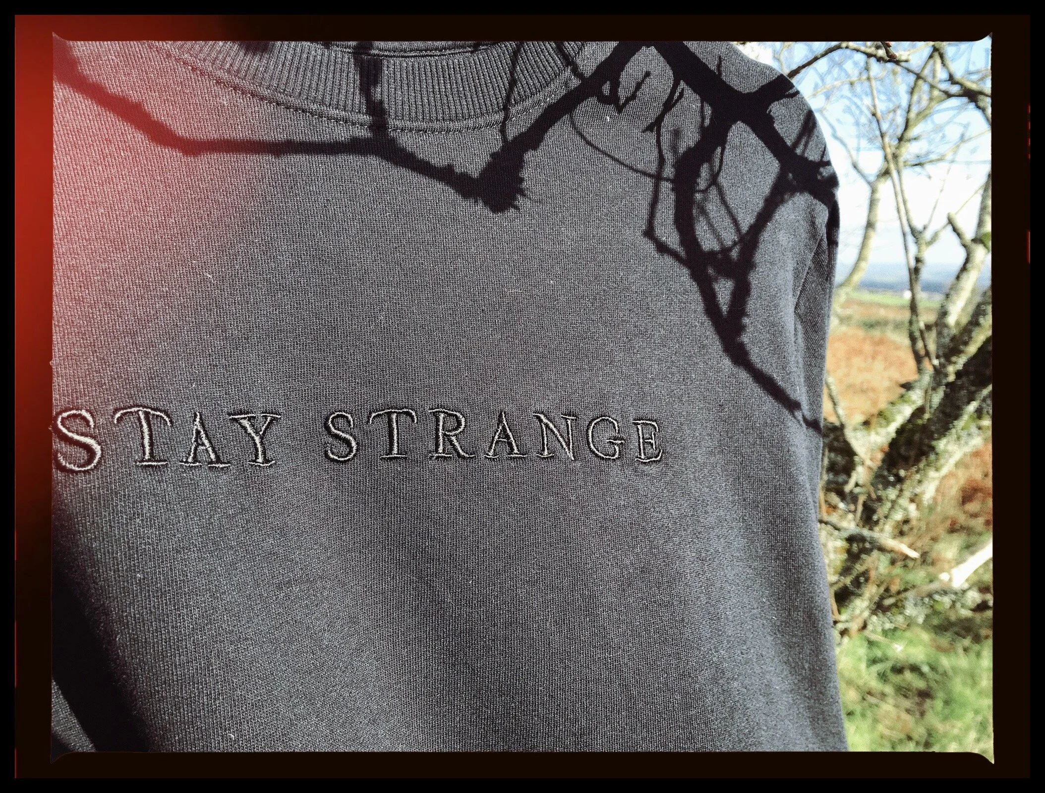 8E3D4937-40E1-4413-8CBB-8F8D38C0F0E2