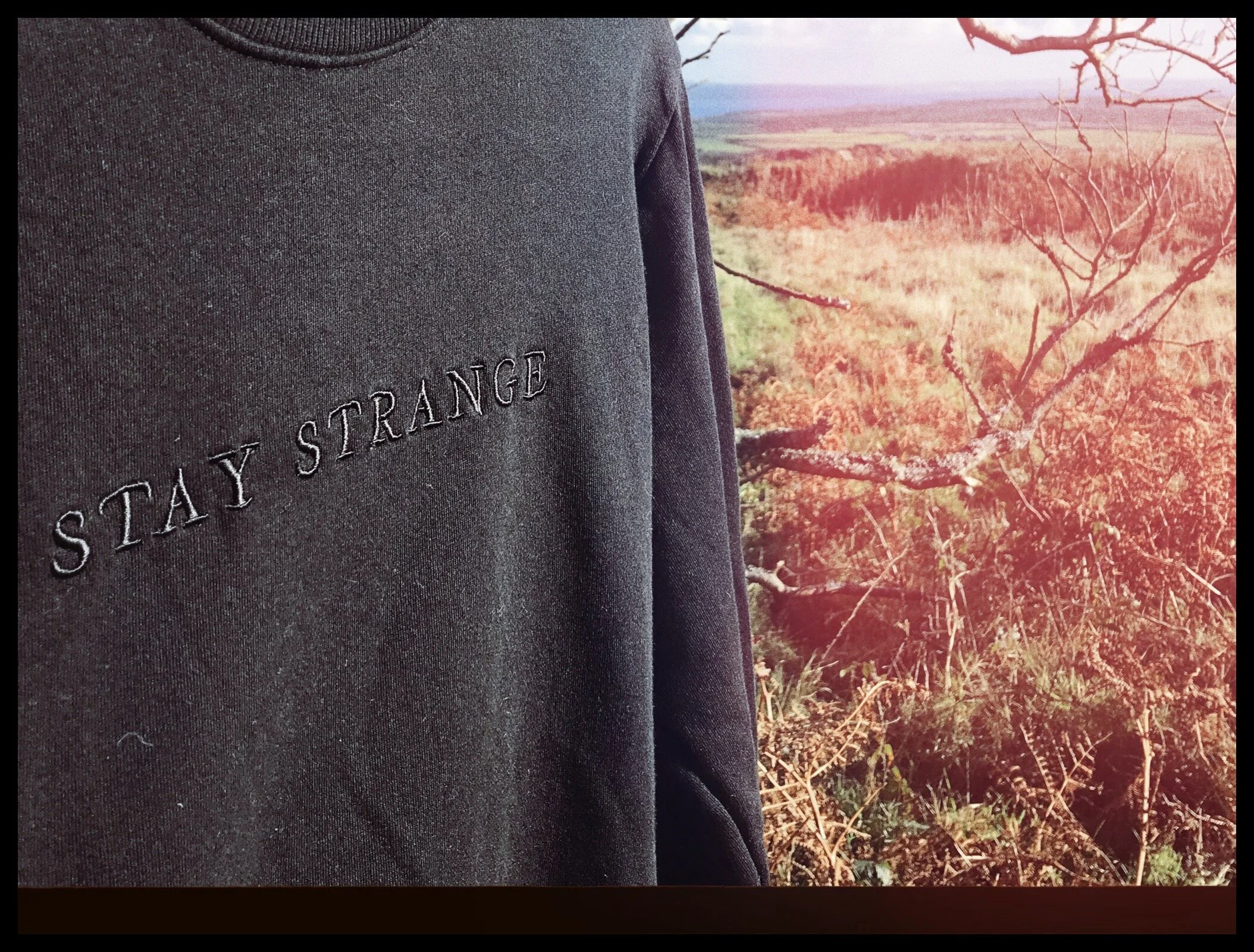 84EB98AA-4AC7-4FA4-BFF4-49D8B290DCF1