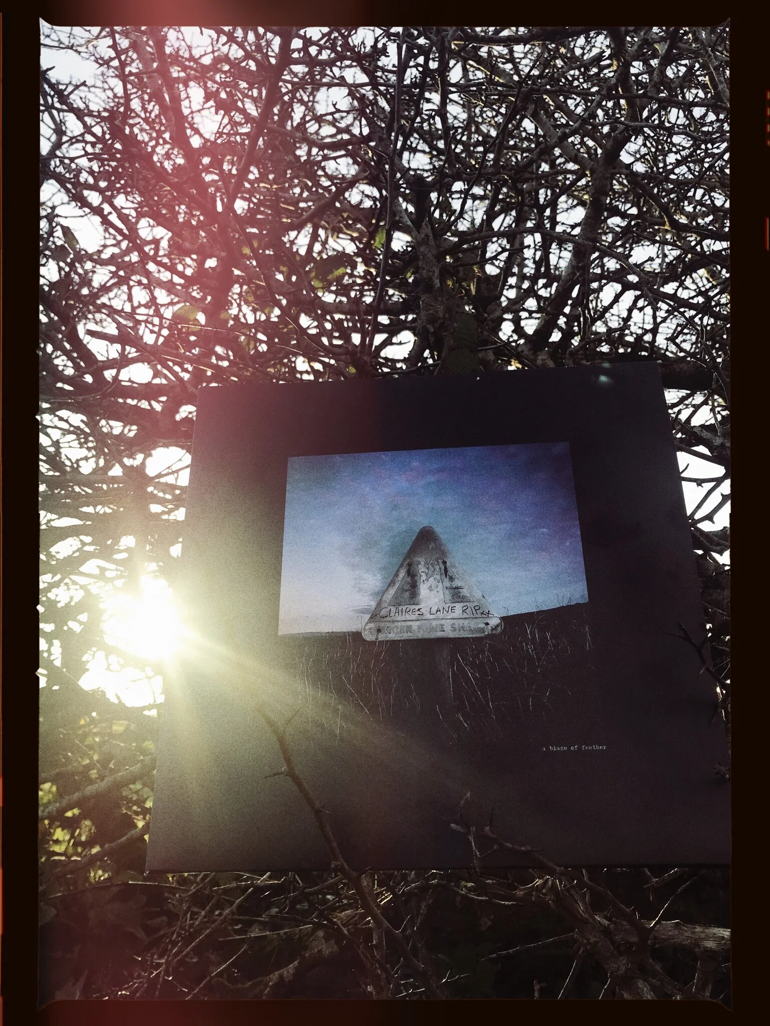 21F8448D-455C-480C-995D-598F6EB6D910