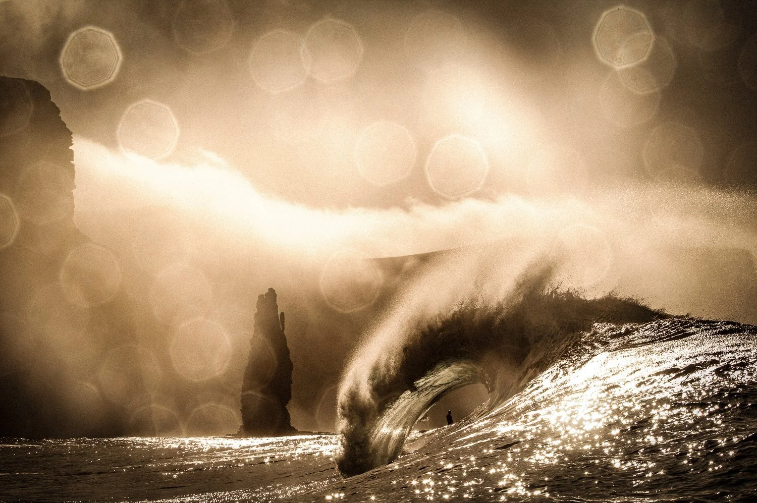 09C53429-73BA-4E52-AC57-C4714EC254D4