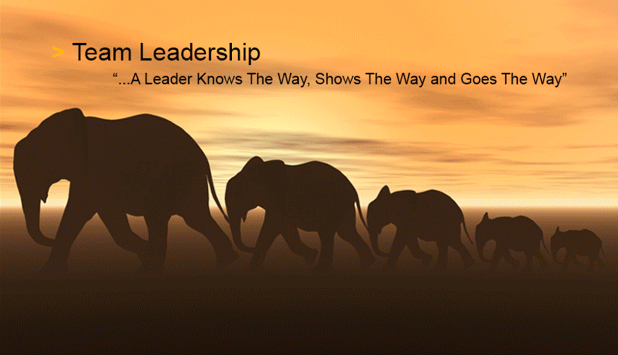 executive coaching