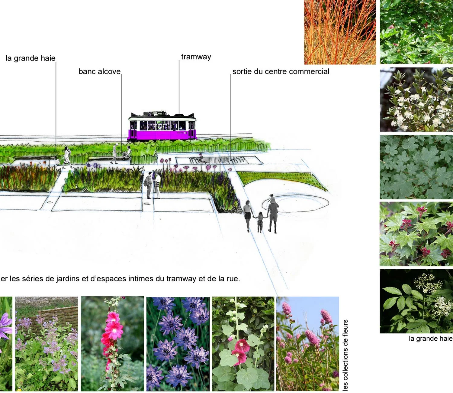 jardins-et-tof-copy.jpg