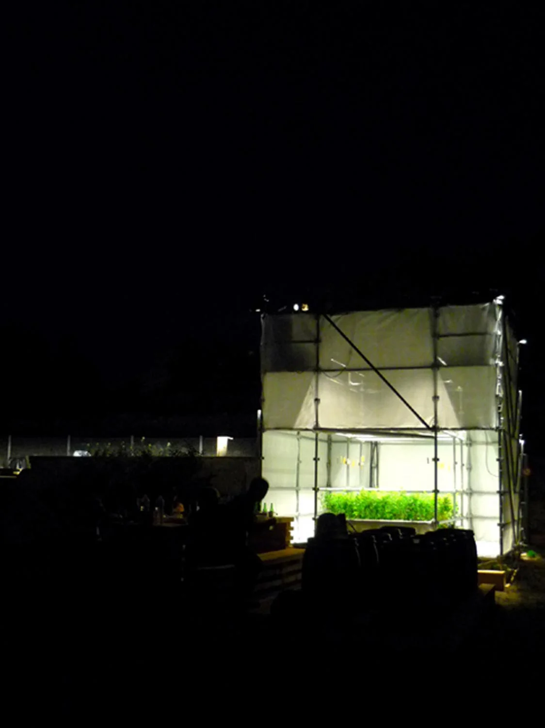 P1130780.jpg